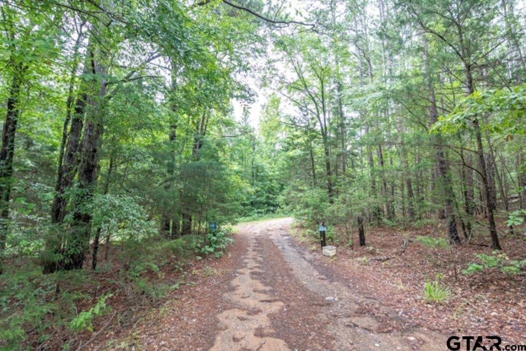 15.02 acres in Smith County gallery image 3