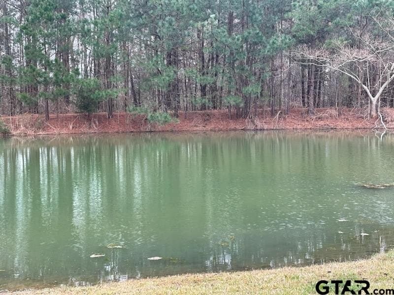 15.02 acres in Smith County - photo 47