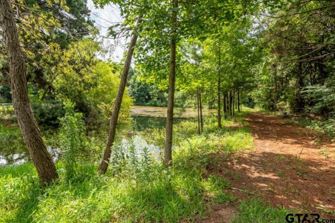 15.02 acres in Smith County - photo 13