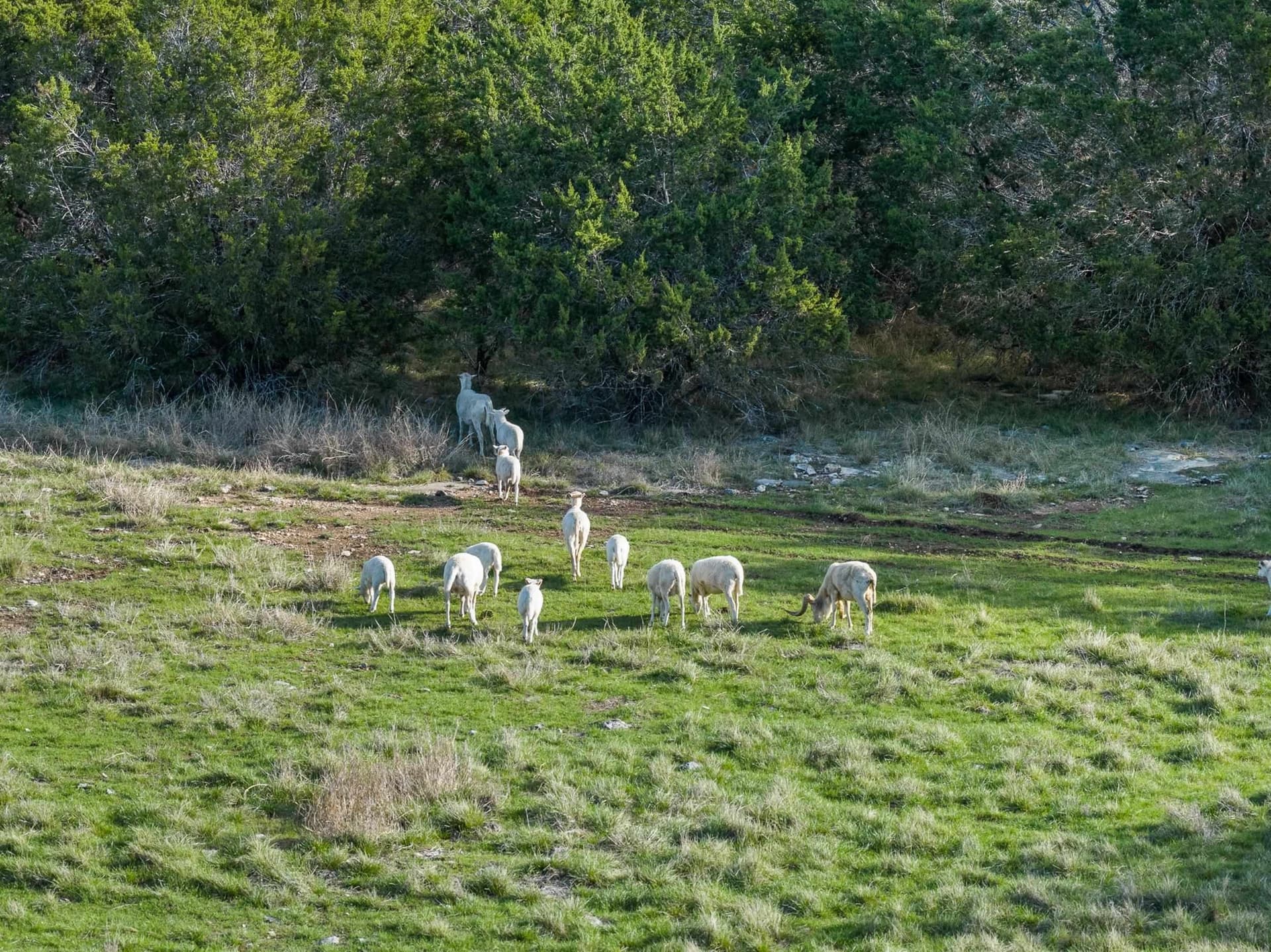 43.87 acres in Burnet County - photo 18