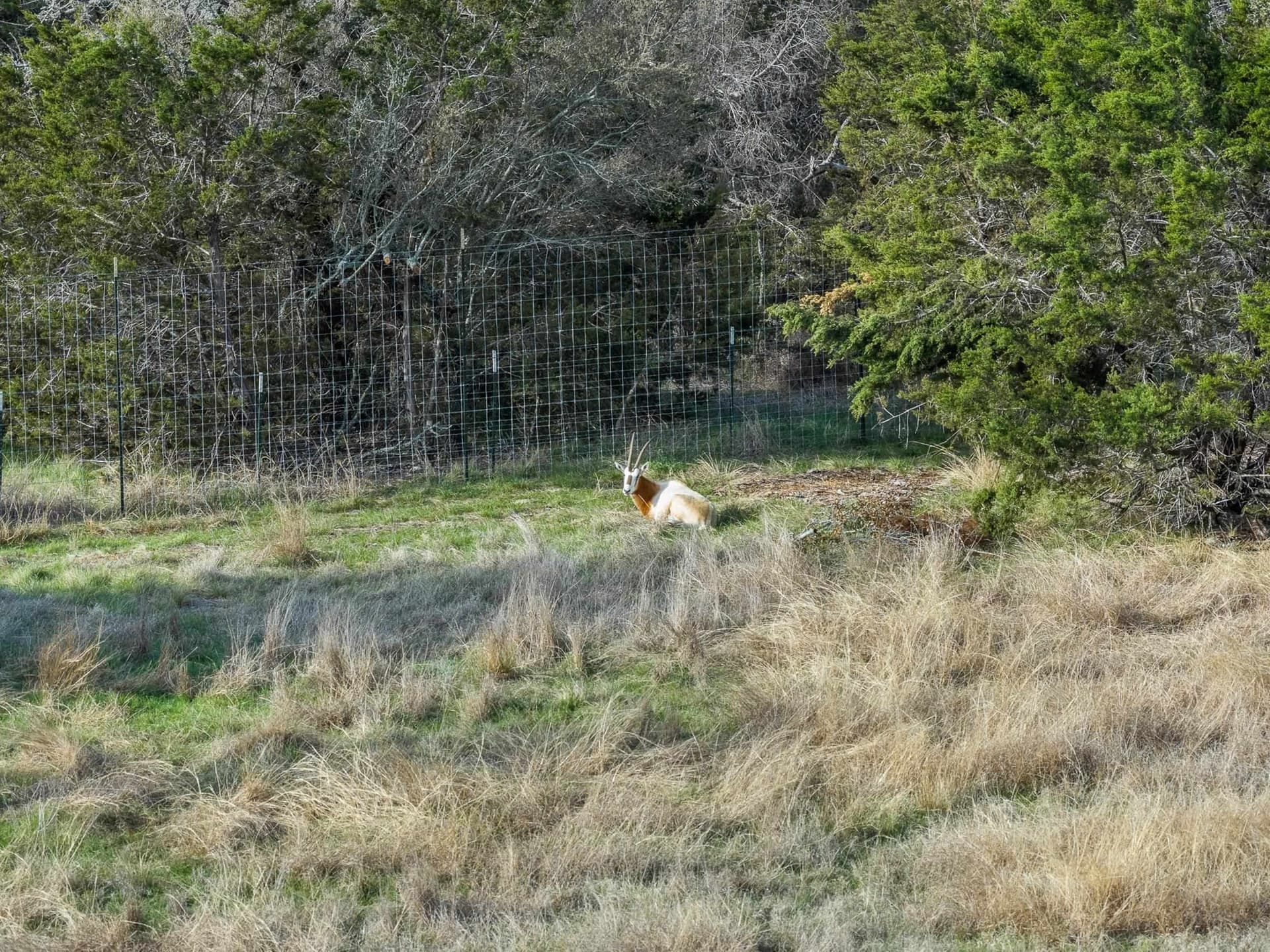 43.87 acres in Burnet County - photo 19