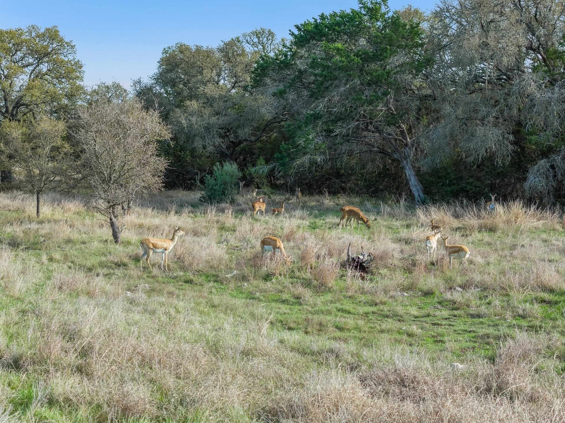 43.87 acres in Burnet County - photo 21