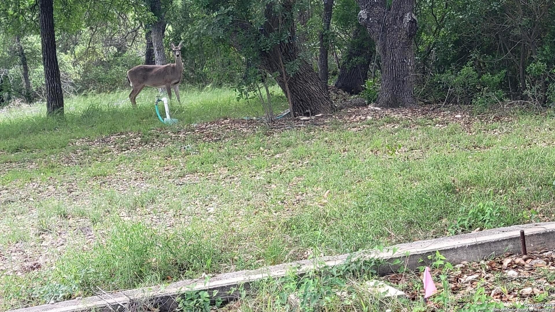 1.78 acres in Bexar County - photo 8