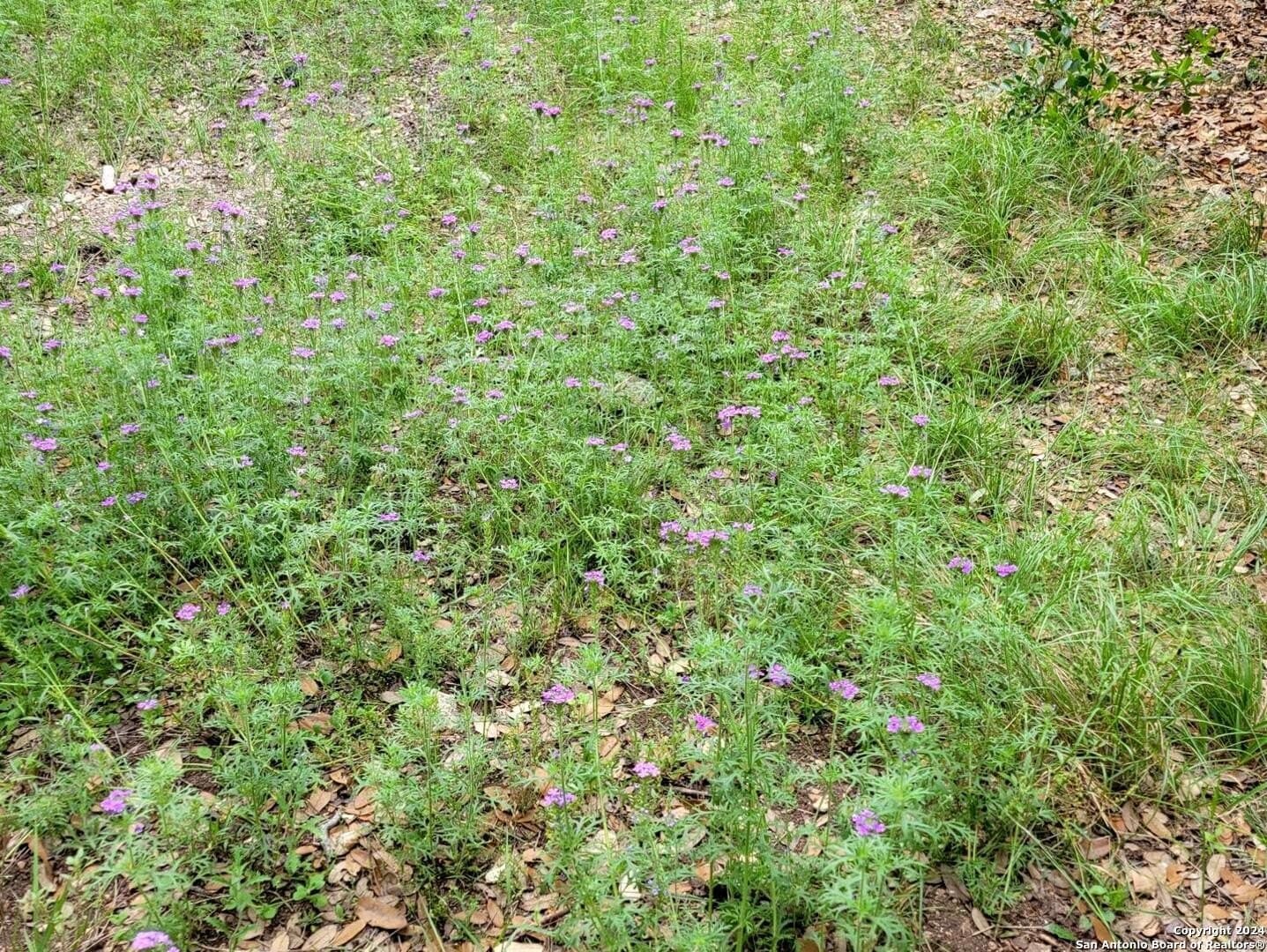 1.78 acres in Bexar County - photo 9