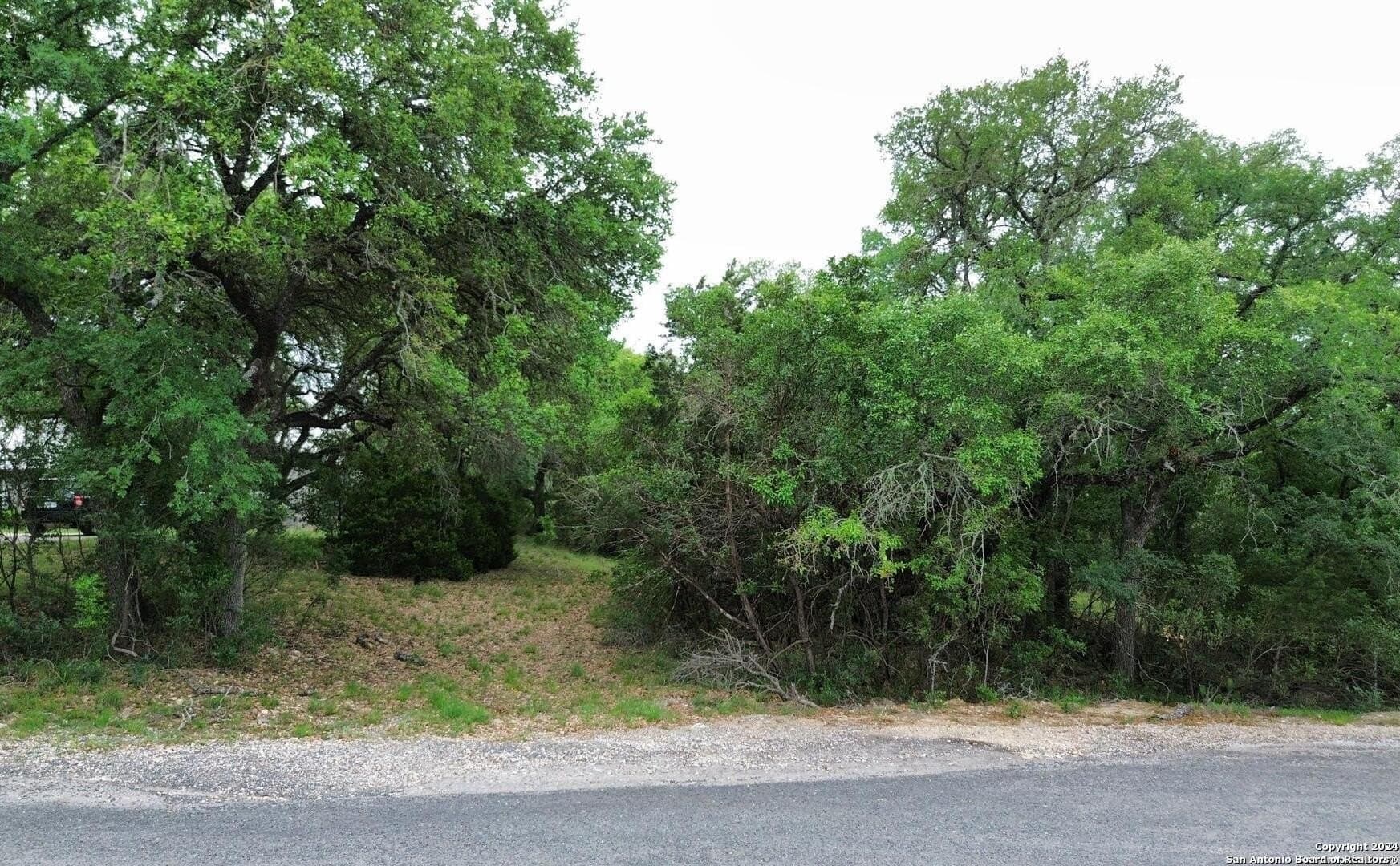 1.78 acres in Bexar County gallery image 2