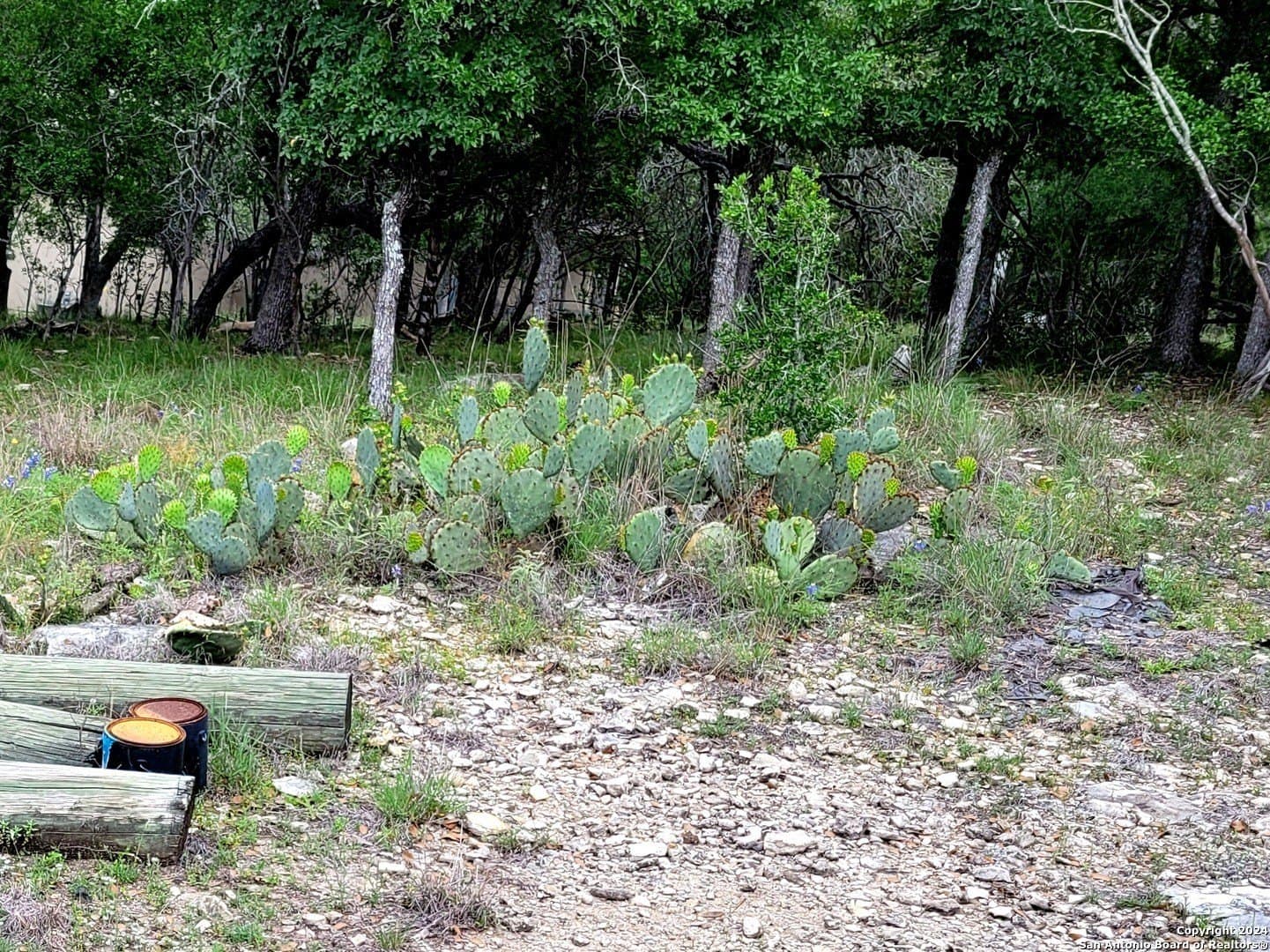 1.78 acres in Bexar County - photo 11