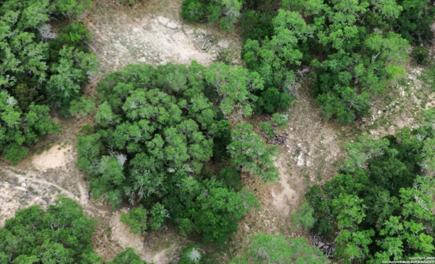 1.78 acres in Bexar County gallery image 4