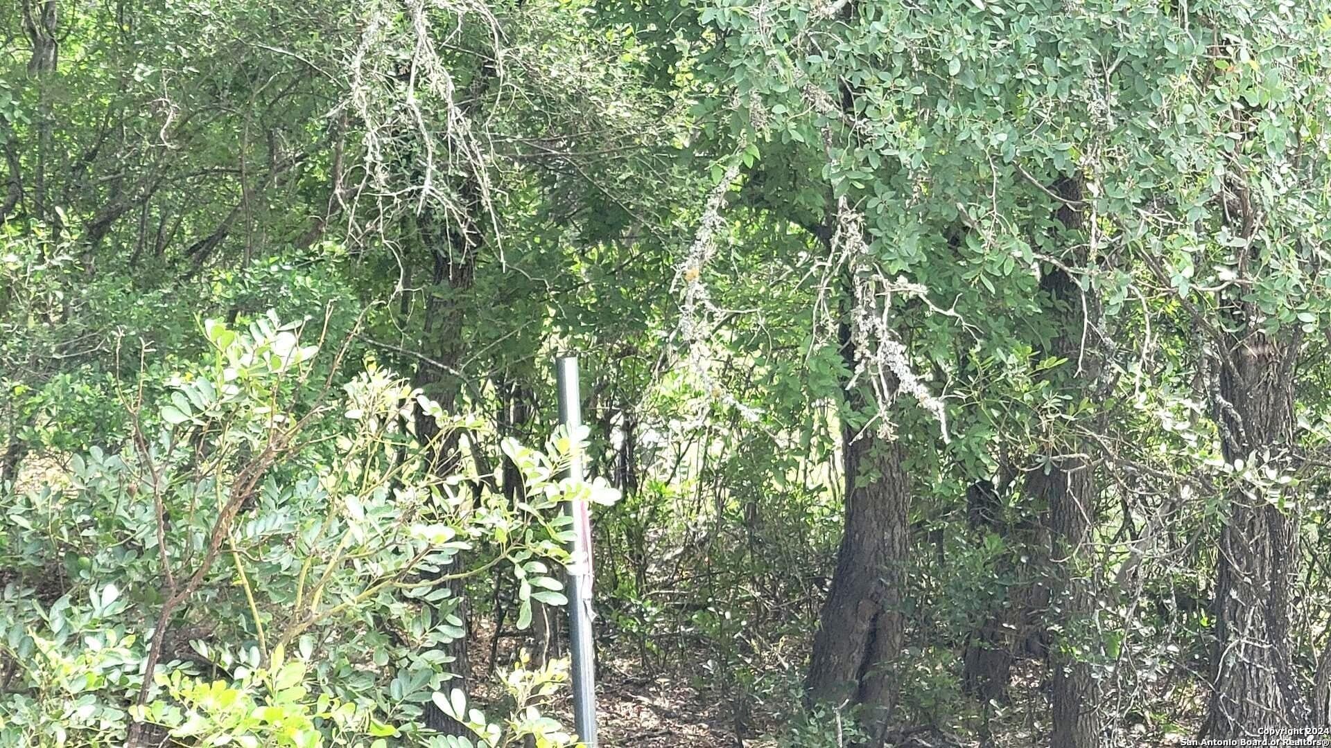 1.78 acres in Bexar County - photo 6