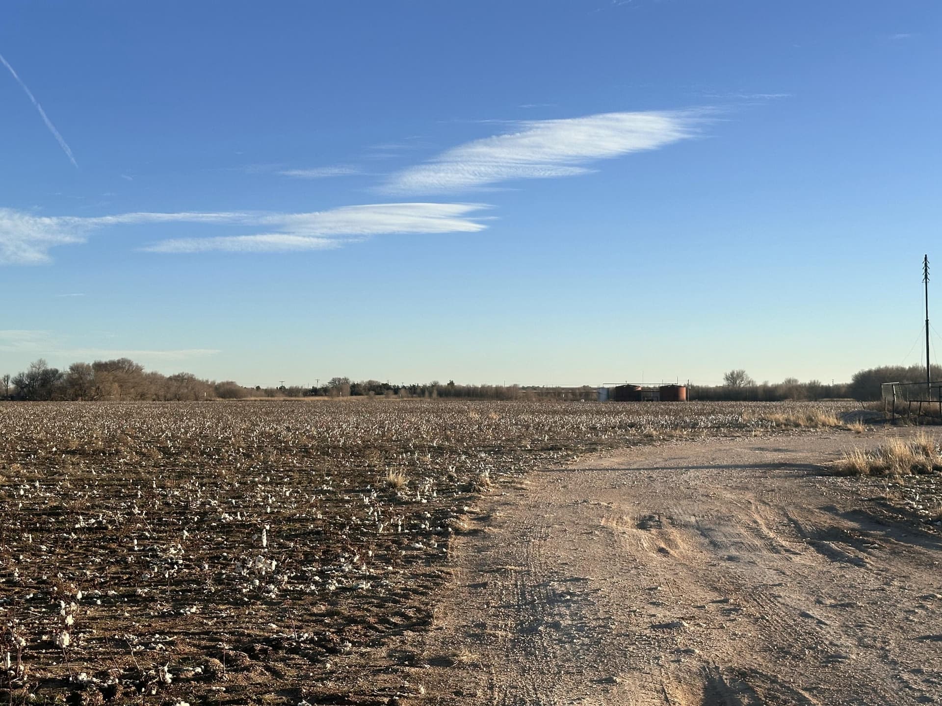 20 acres in Hockley County gallery image 4