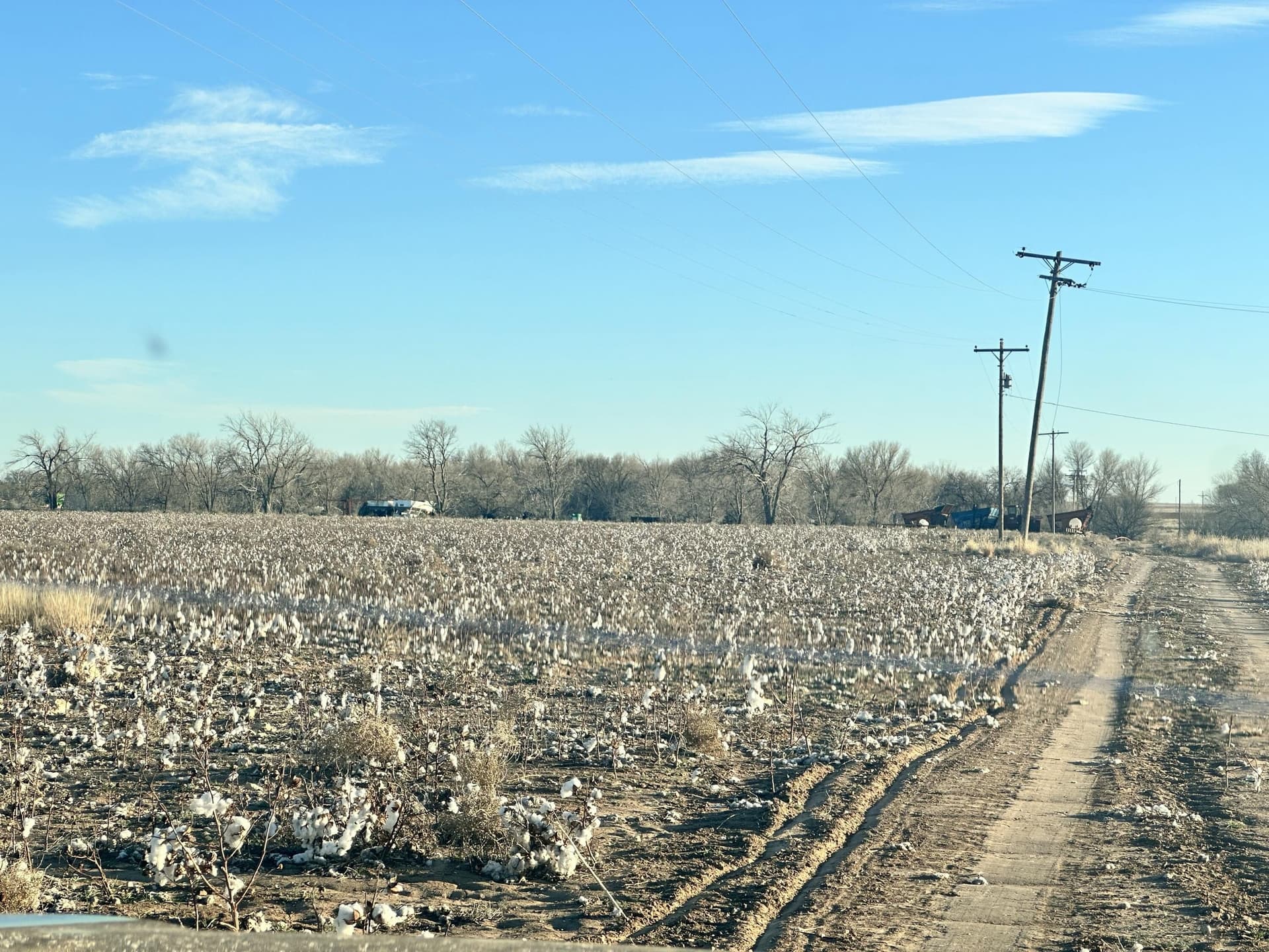 20 acres in Hockley County gallery image 3