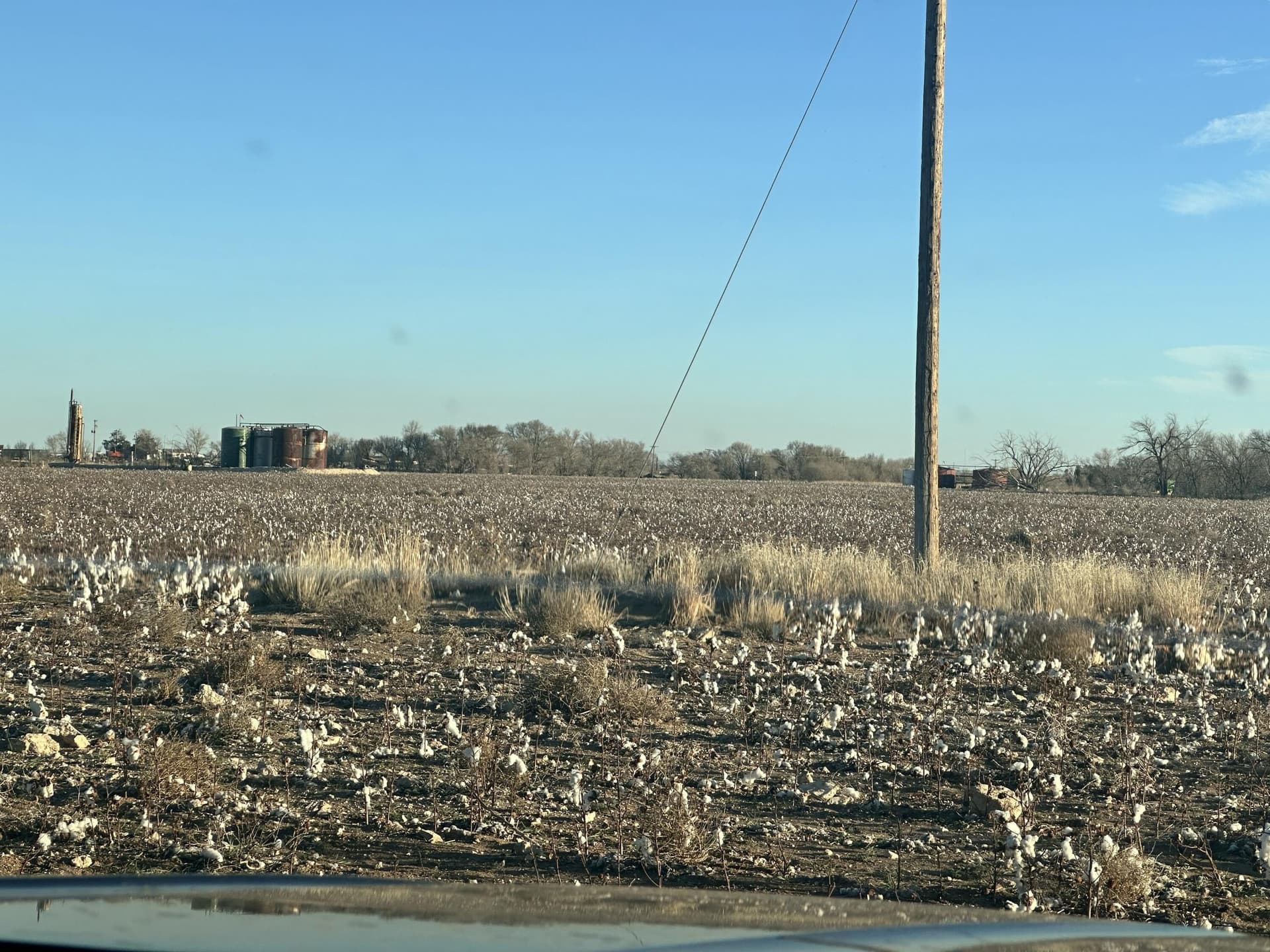 20 acres in Hockley County gallery image 2