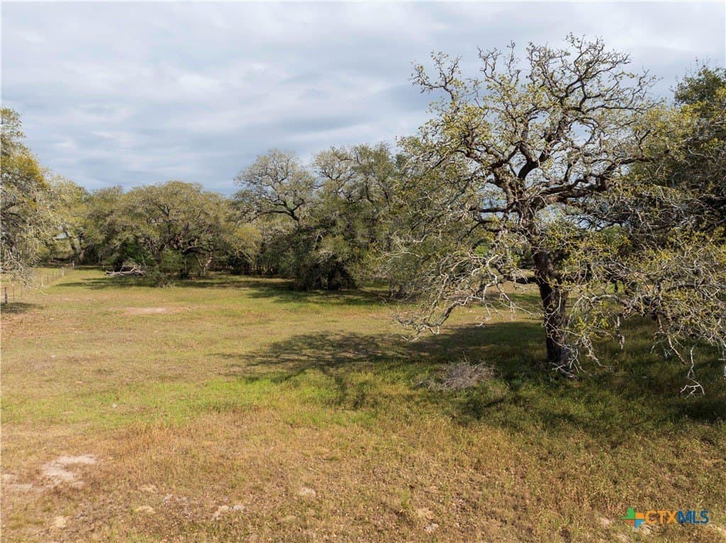 2.03 acres in Lavaca County gallery image 2