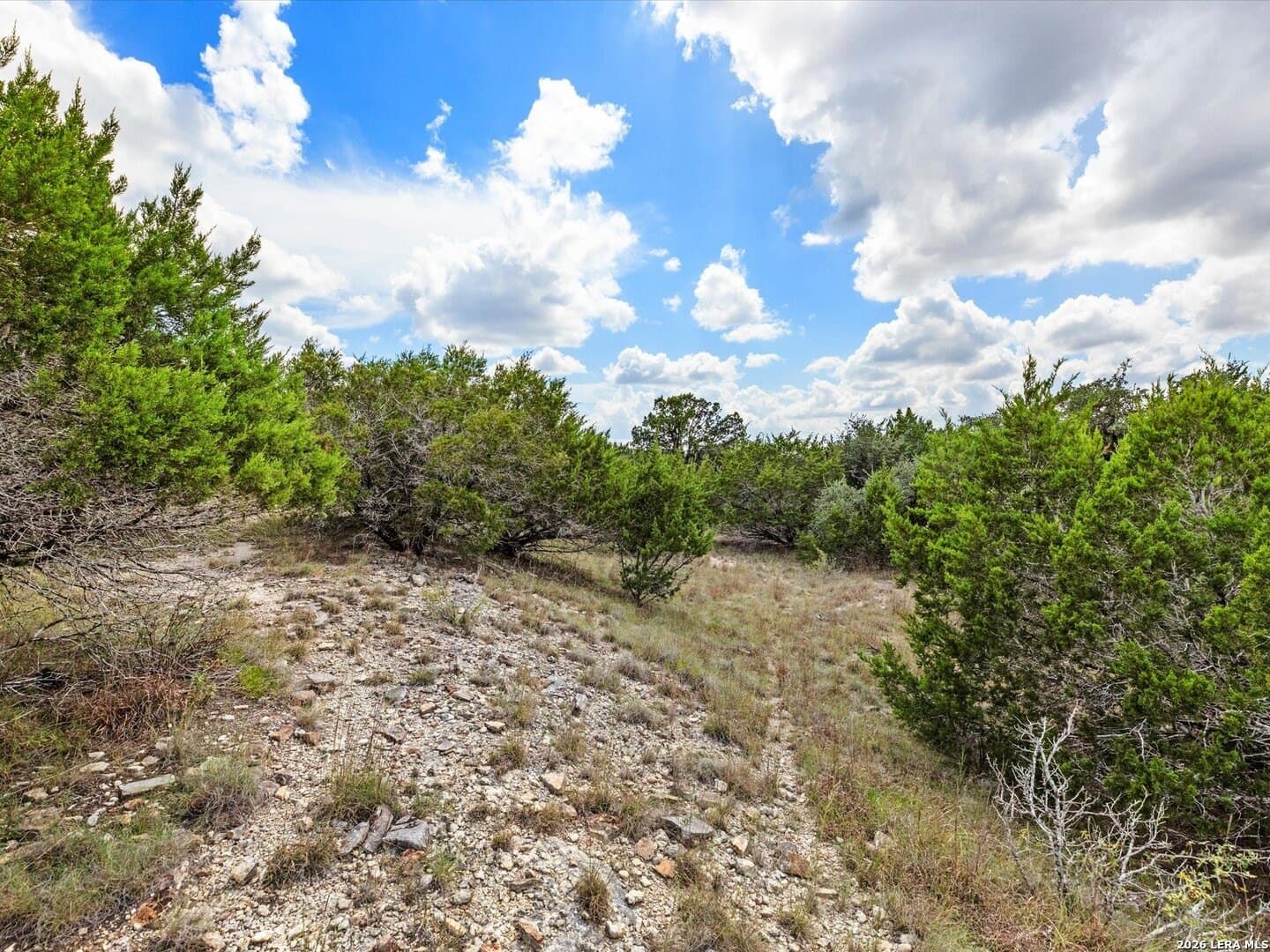2.02 acres in Comal County - photo 9