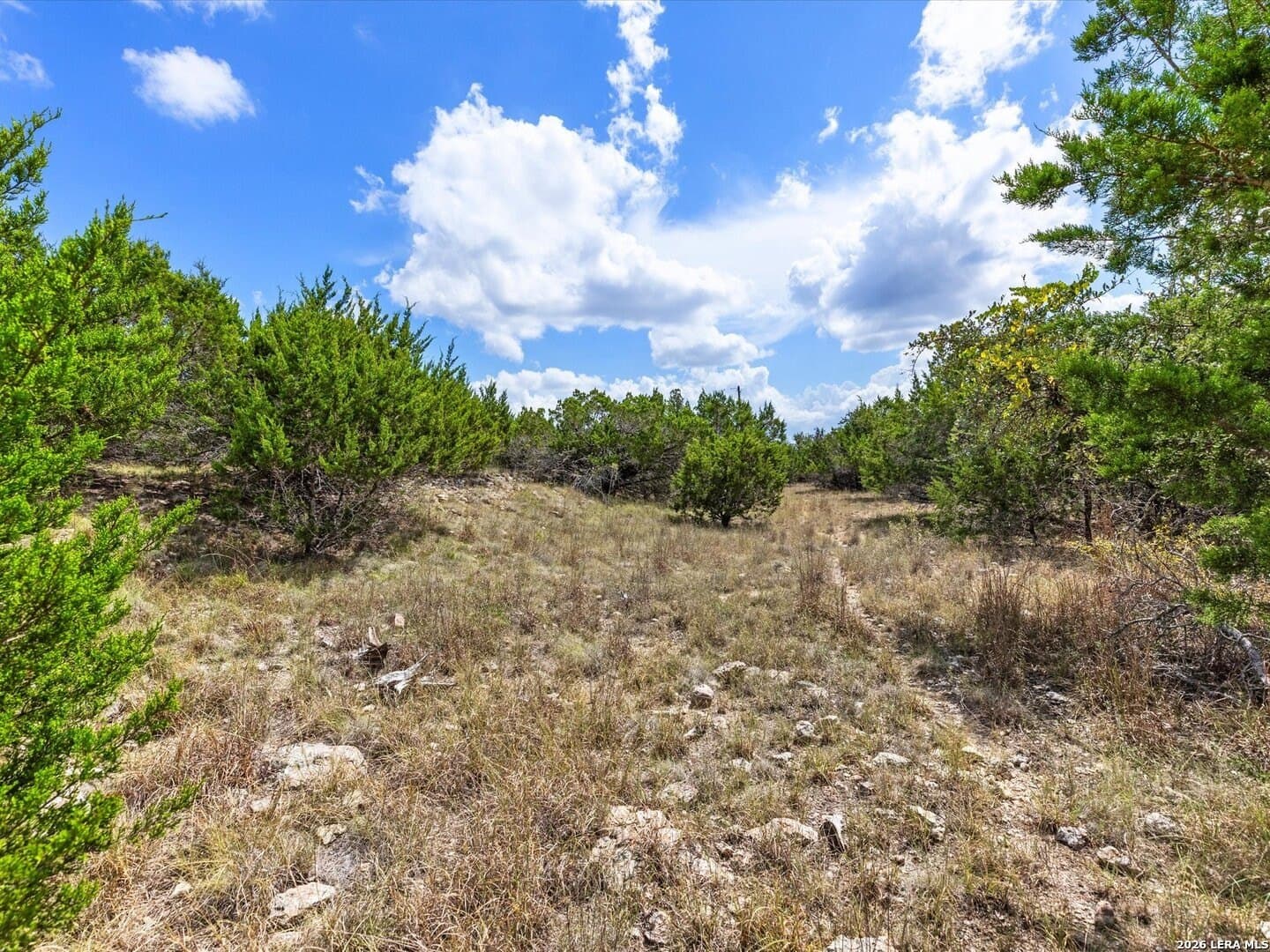 2.02 acres in Comal County - photo 10