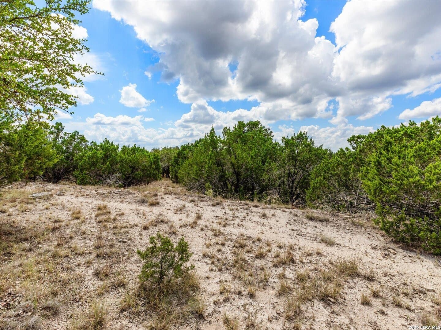 2.02 acres in Comal County - photo 8
