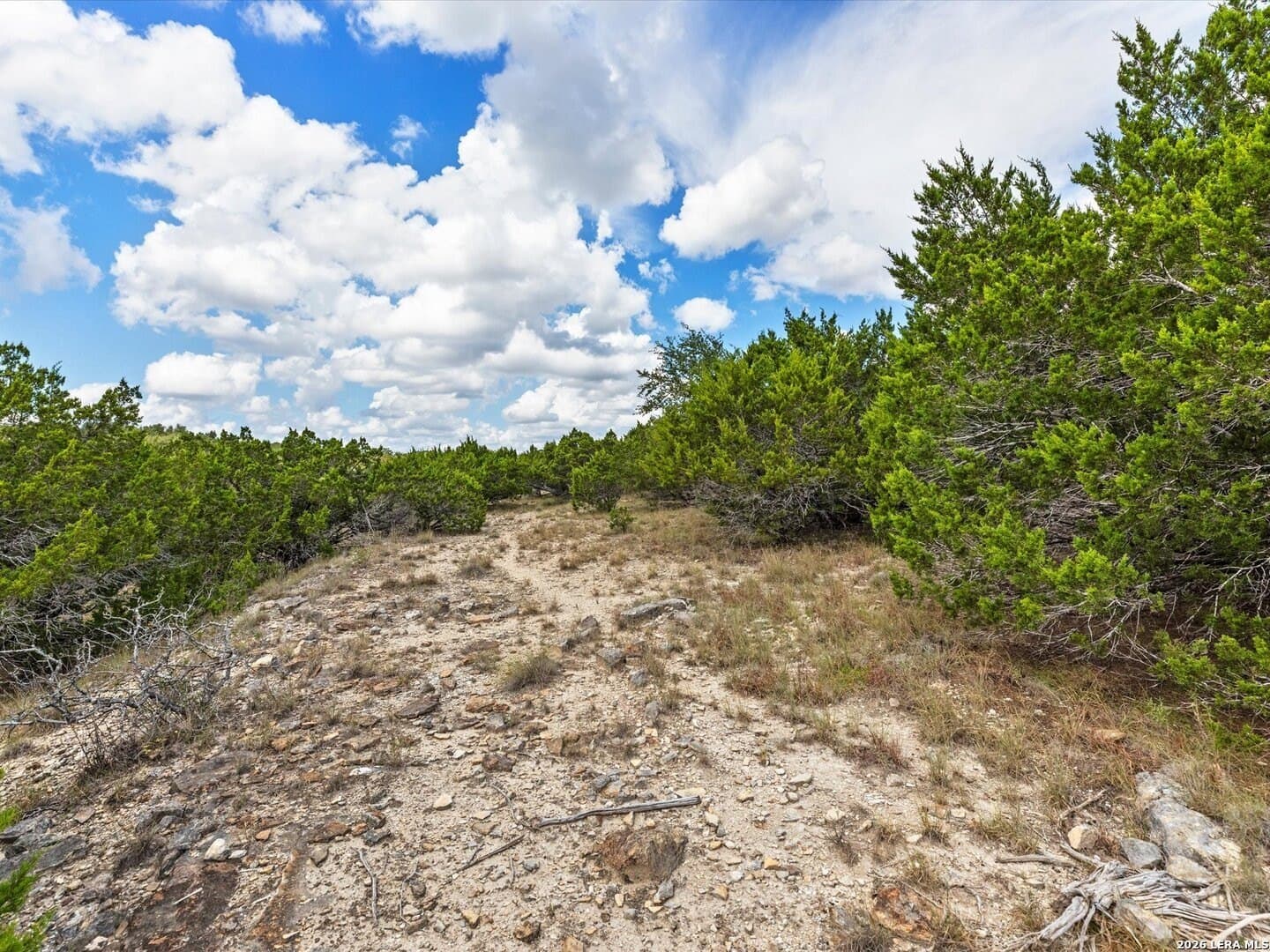 2.02 acres in Comal County - photo 7