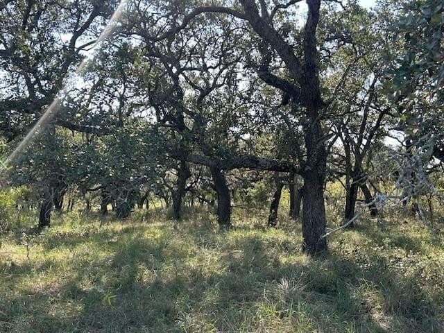 300 acres in San Saba County gallery image 2