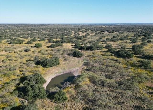 300 acres in San Saba County gallery image 4