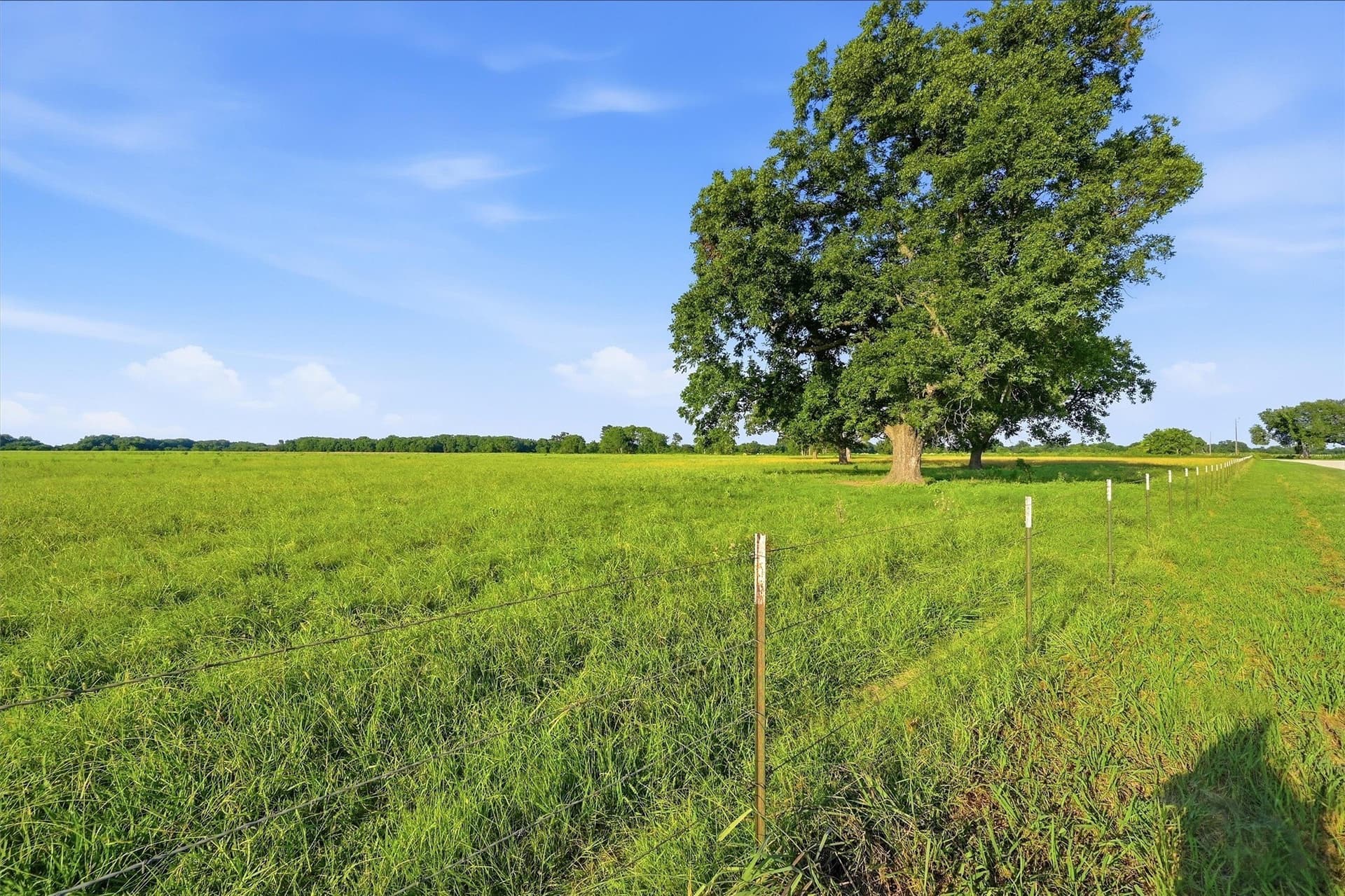 215.55 acres in Grayson County - photo 31
