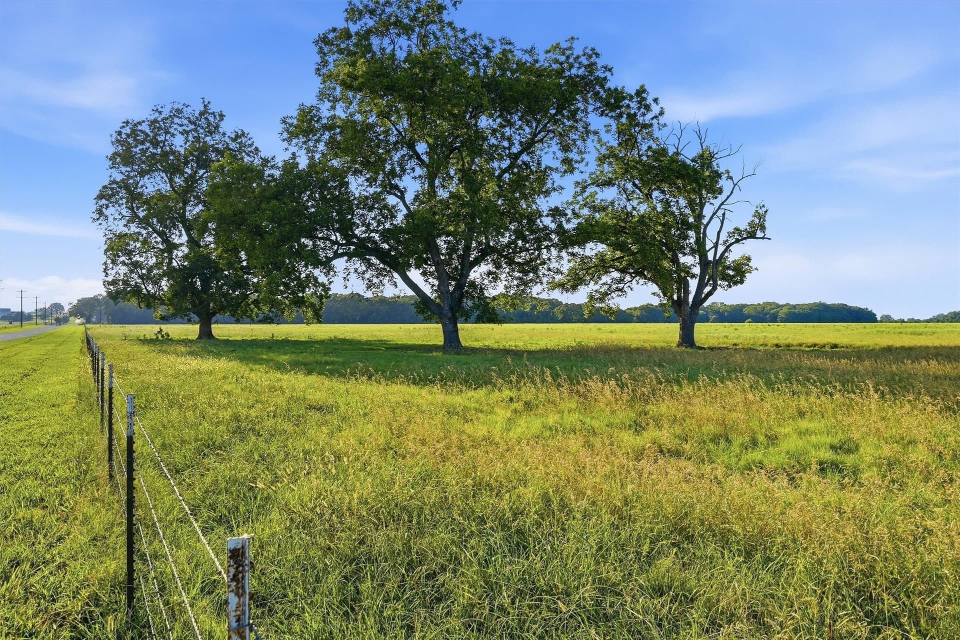 215.55 acres in Grayson County - photo 7