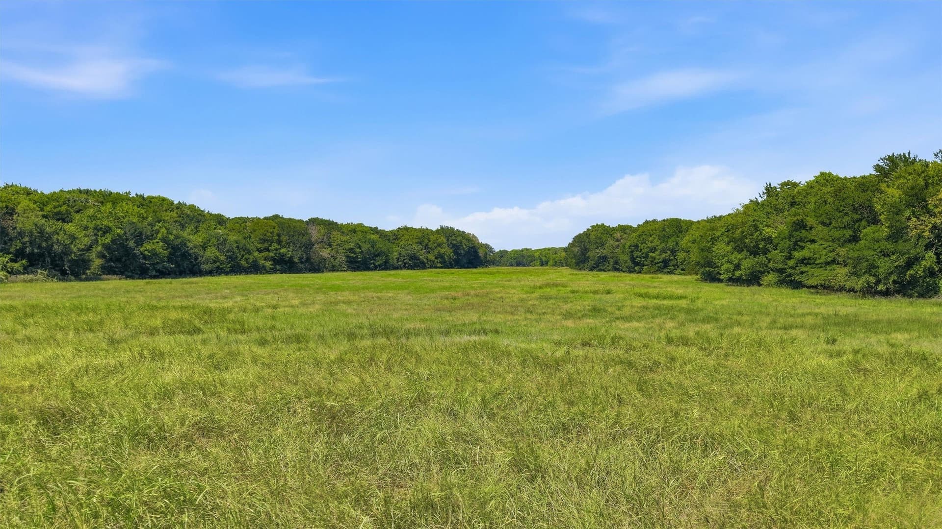 215.55 acres in Grayson County - photo 25