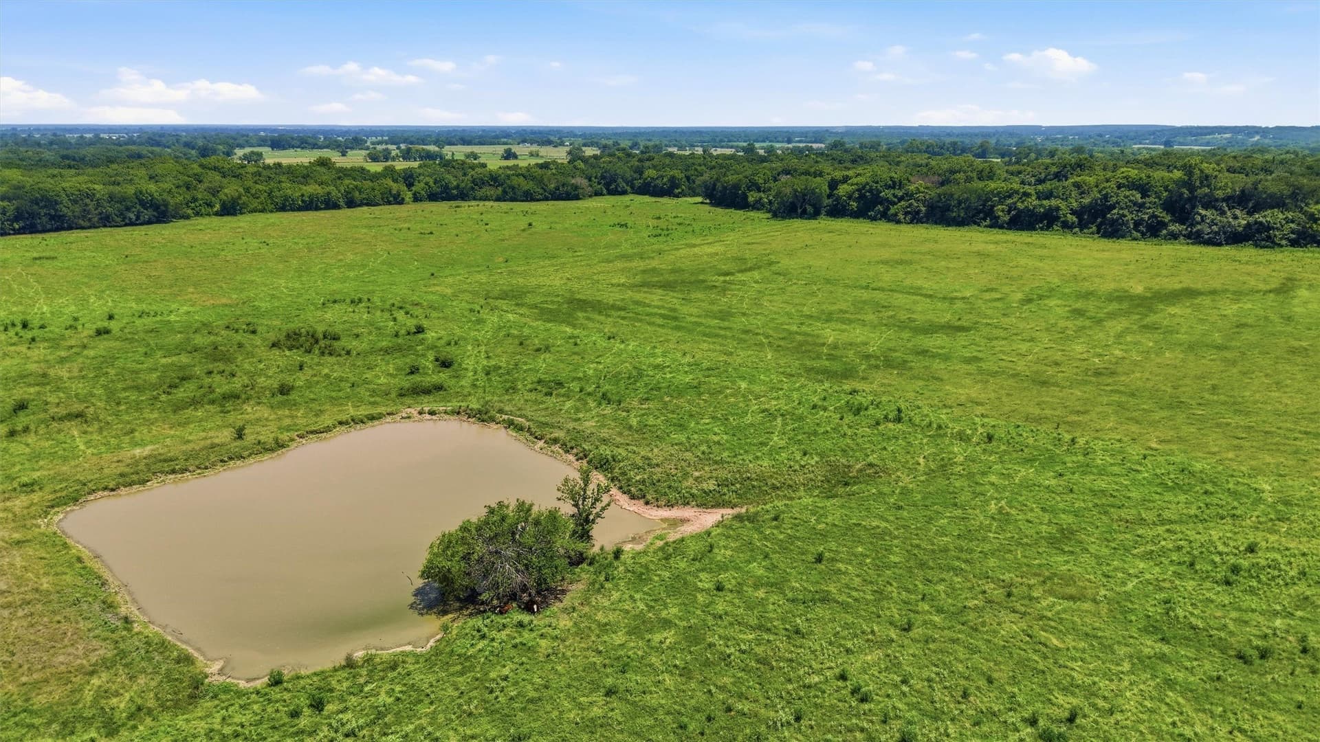 215.55 acres in Grayson County - photo 23