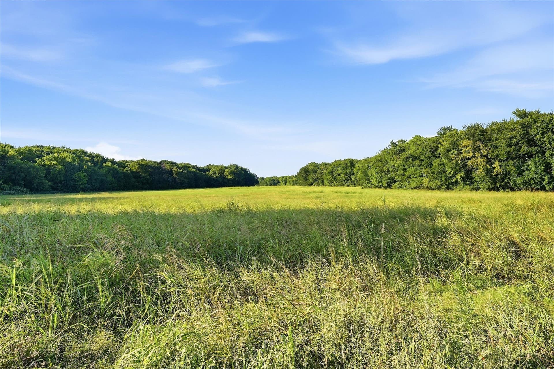 215.55 acres in Grayson County - photo 10