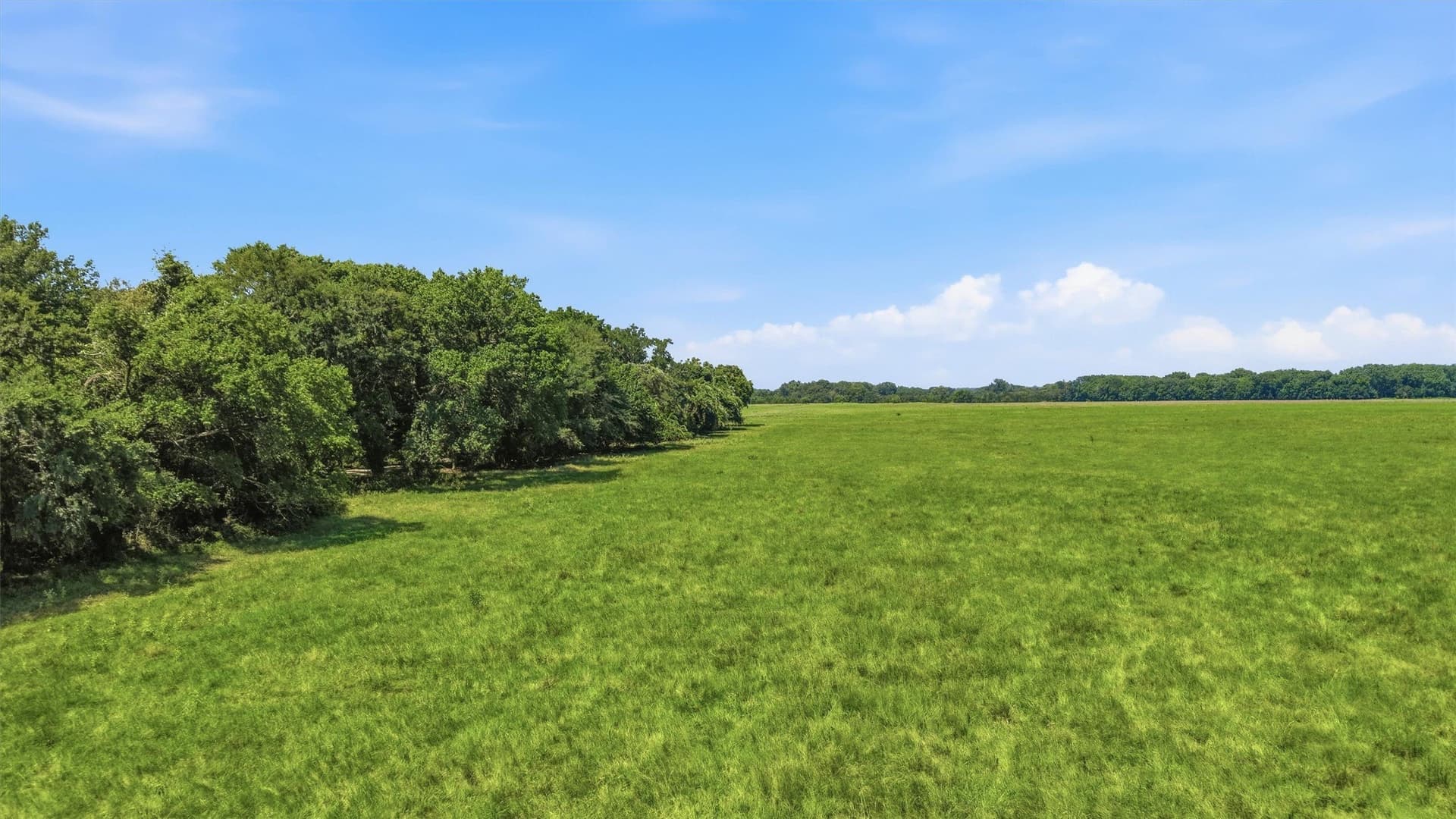 215.55 acres in Grayson County - photo 24