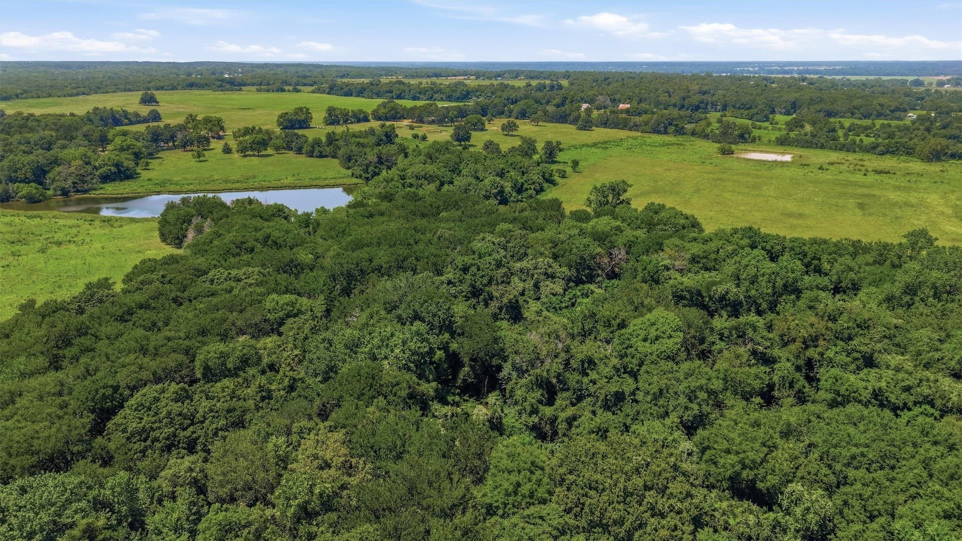 215.55 acres in Grayson County - photo 11