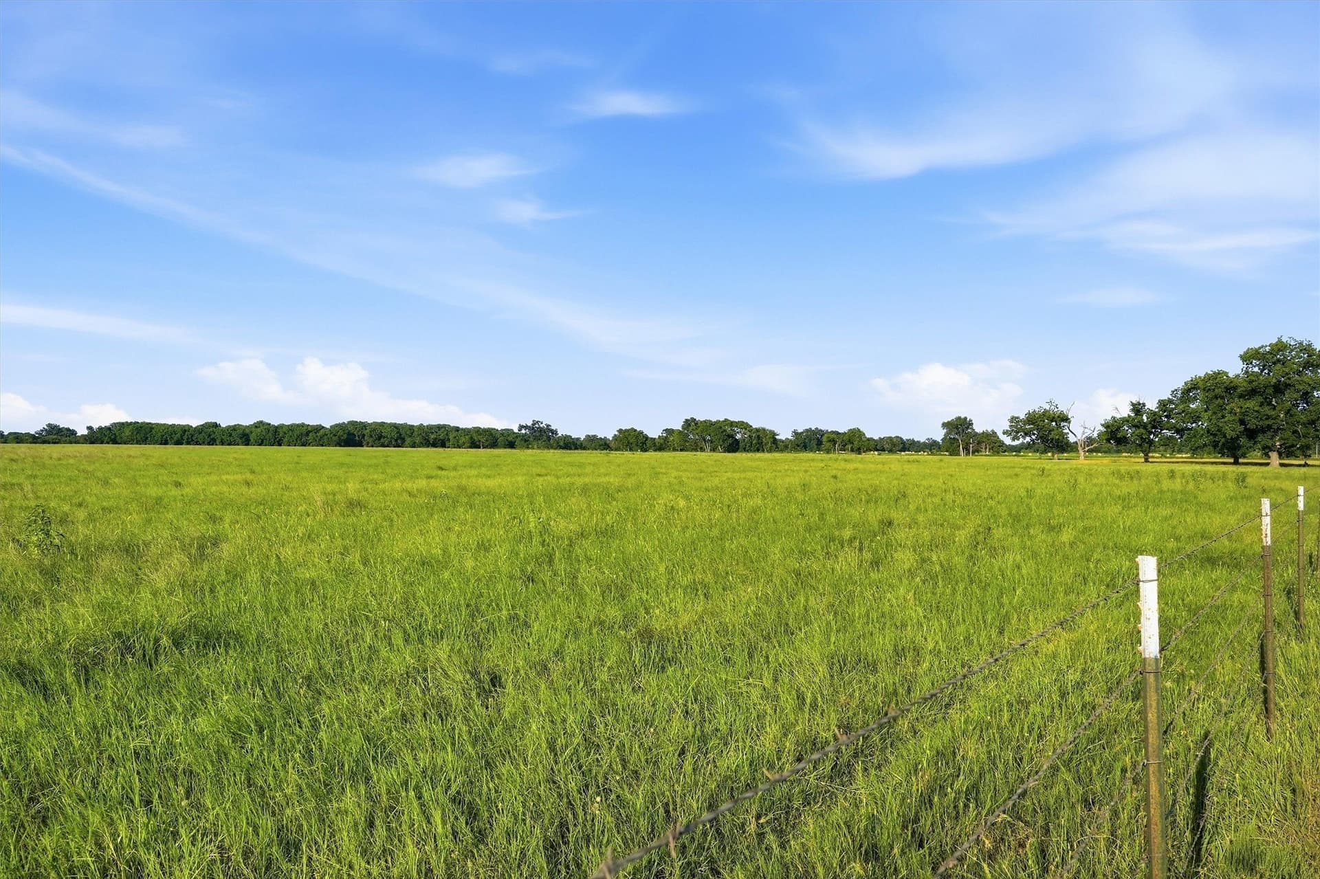 215.55 acres in Grayson County - photo 19