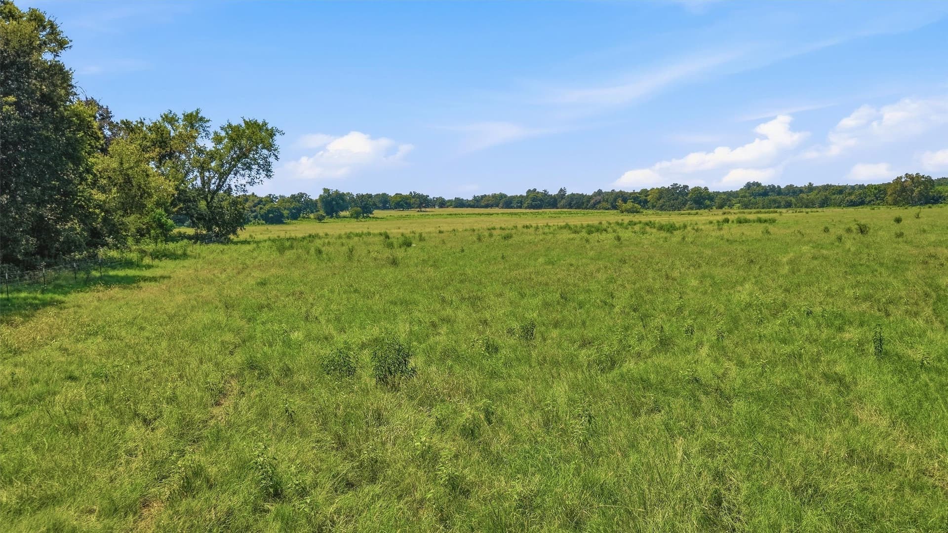 215.55 acres in Grayson County - photo 26