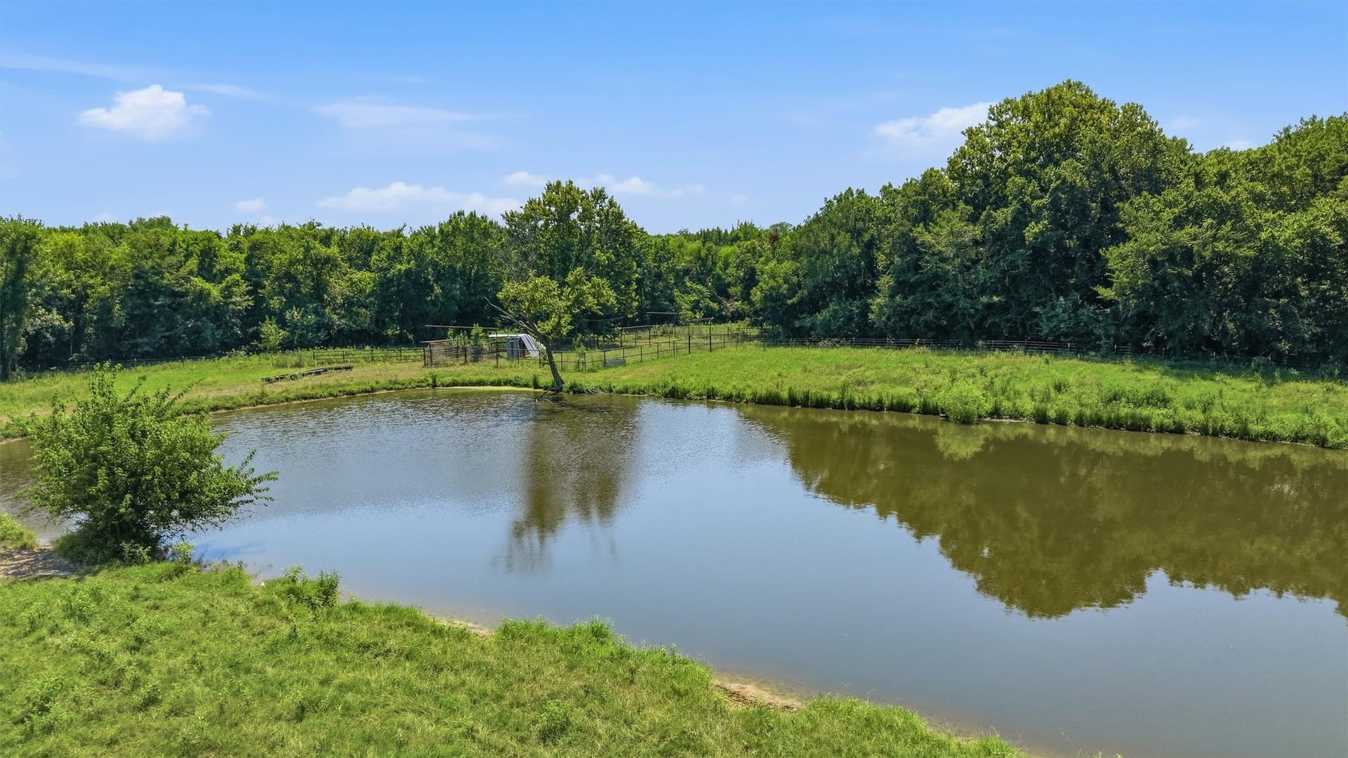 215.55 acres in Grayson County - photo 17