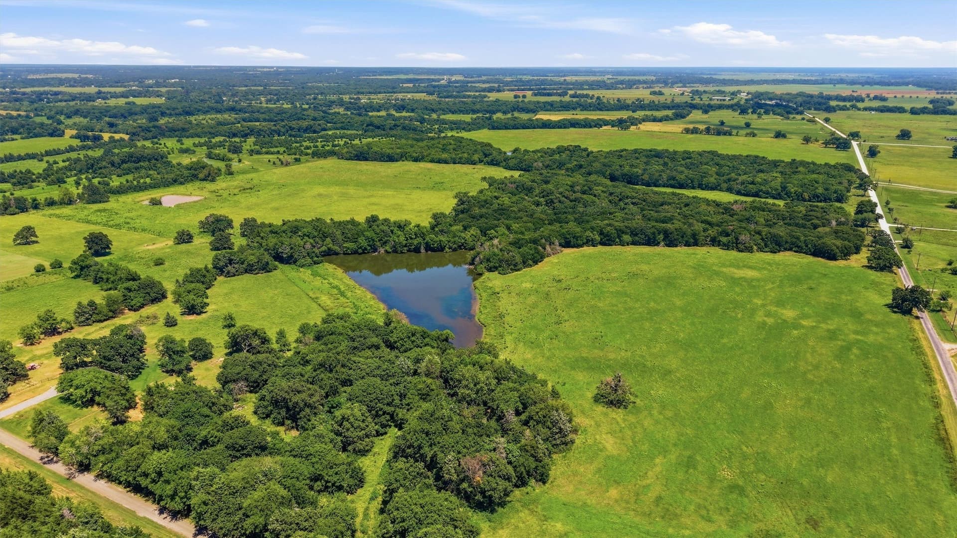 215.55 acres in Grayson County gallery image 4