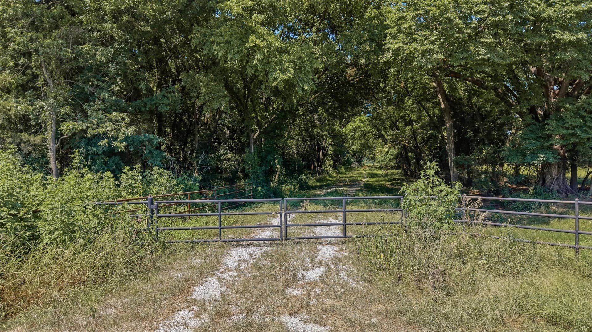 215.55 acres in Grayson County - photo 27
