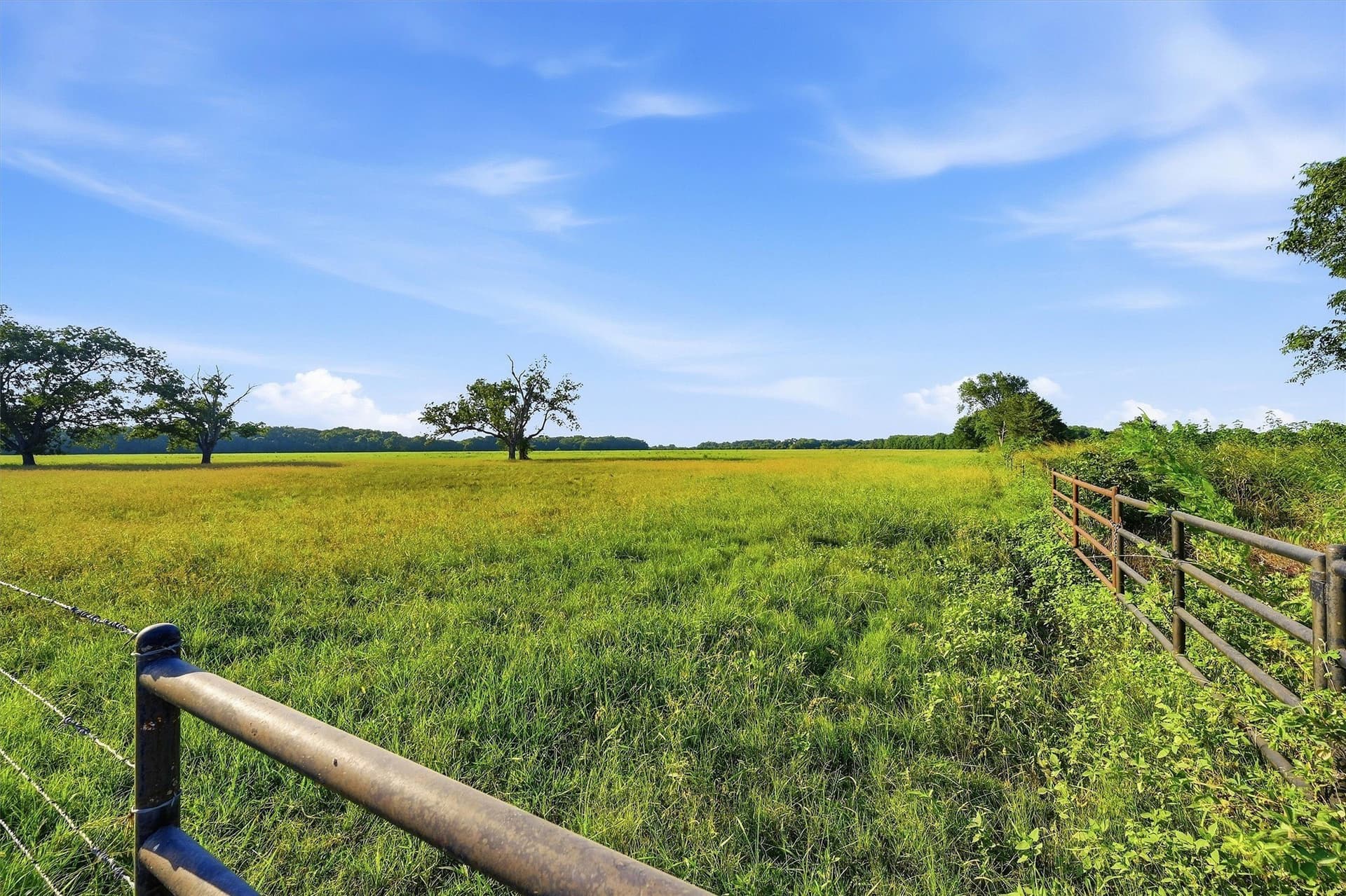 215.55 acres in Grayson County - photo 14