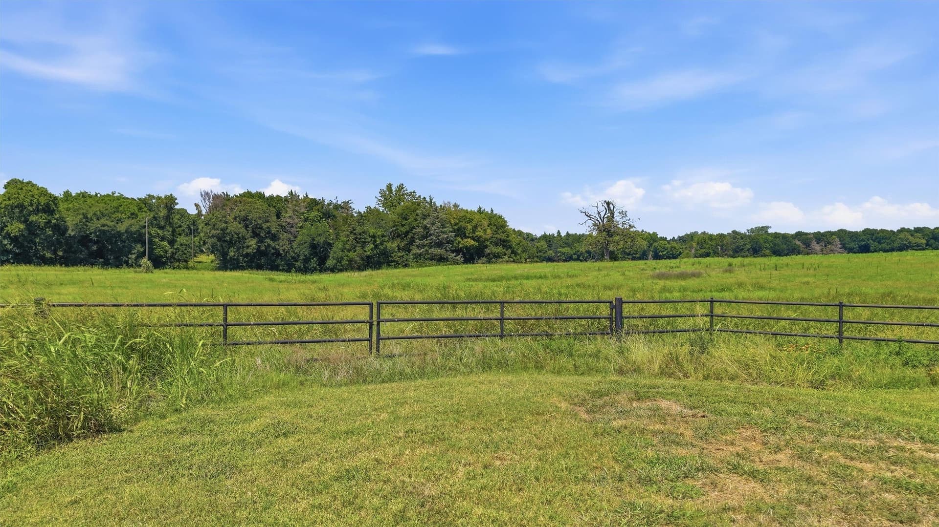 215.55 acres in Grayson County - photo 21