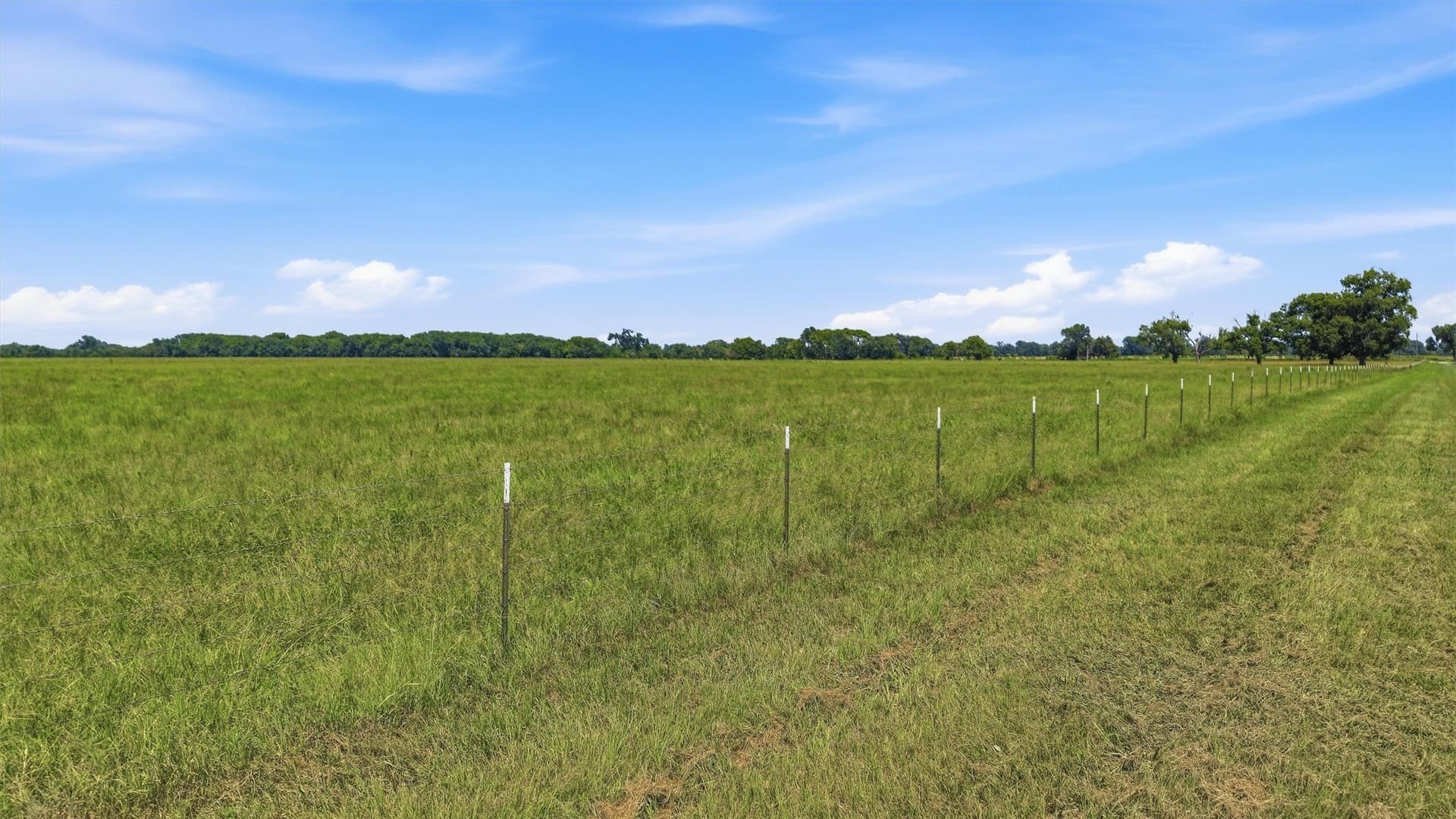 215.55 acres in Grayson County - photo 28