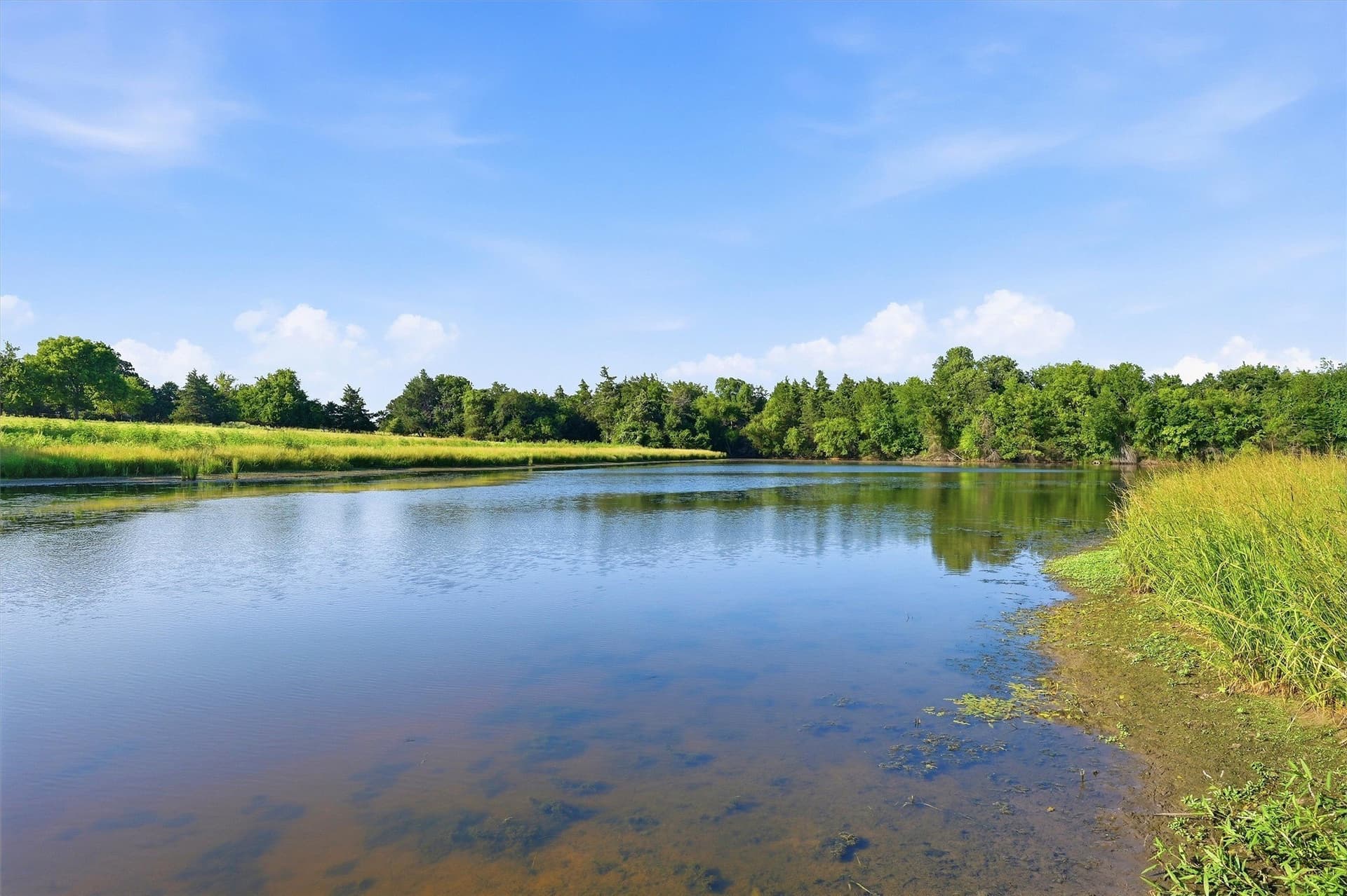 215.55 acres in Grayson County - photo 13