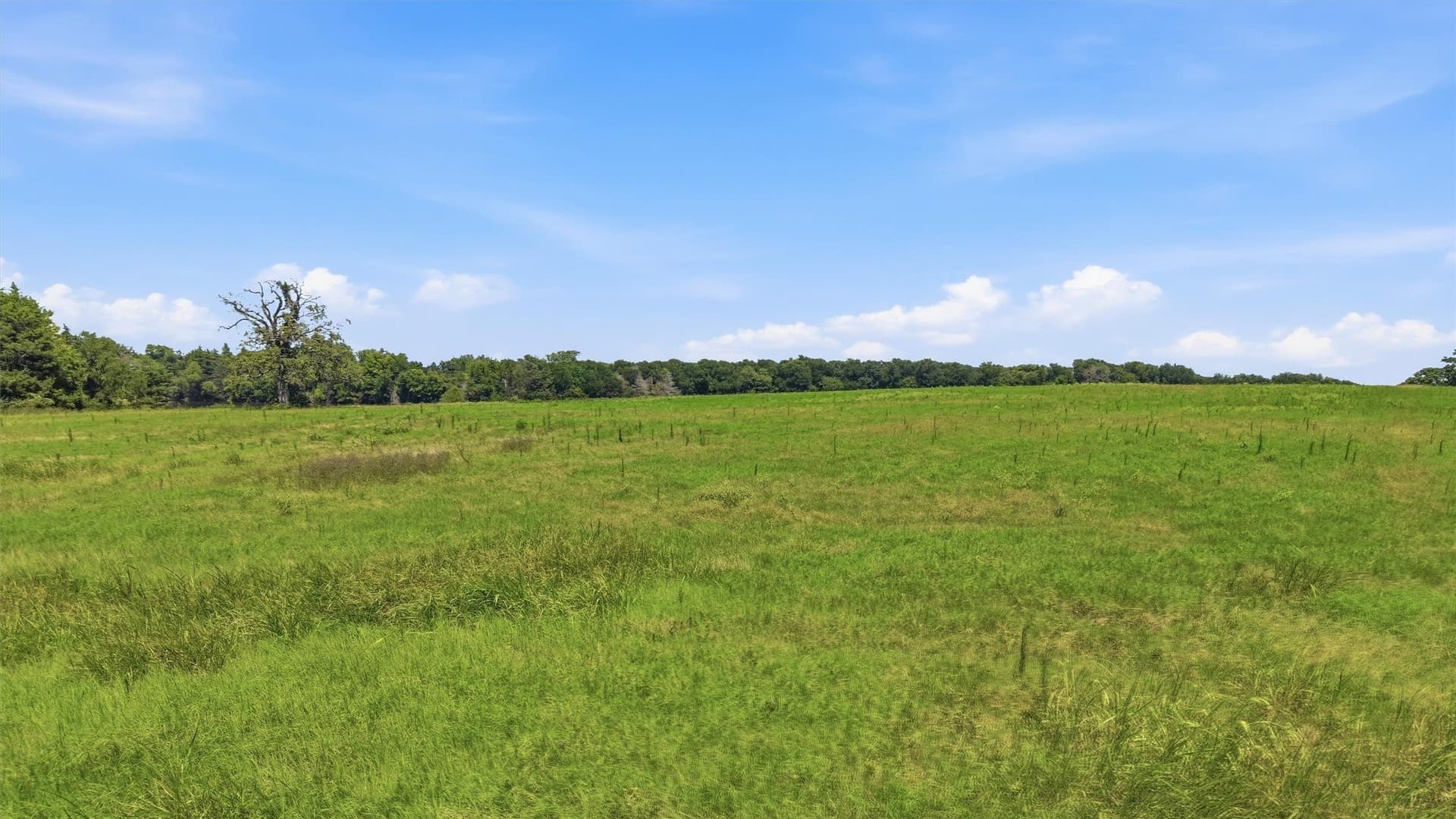 215.55 acres in Grayson County - photo 22