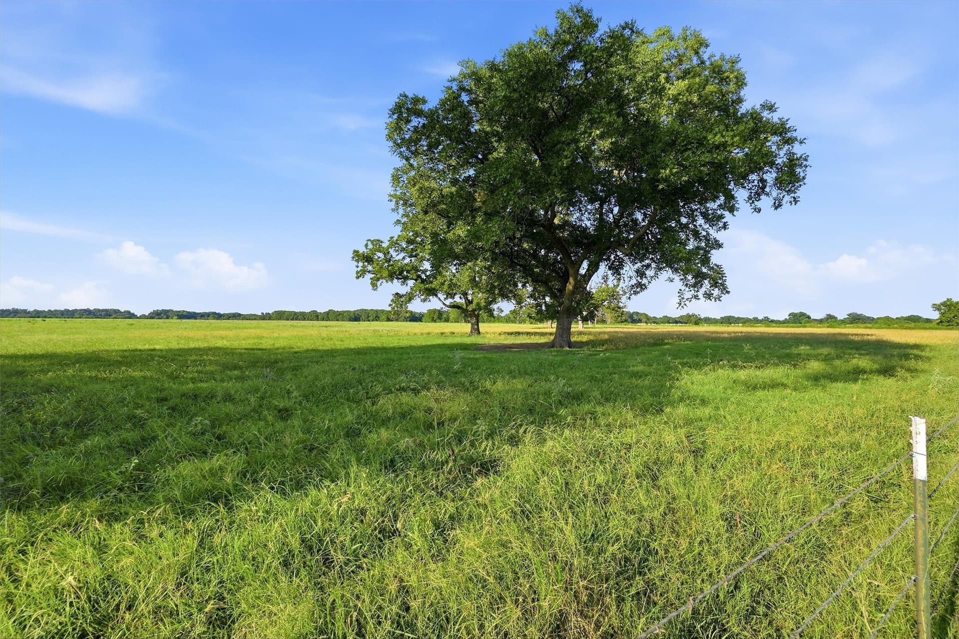 215.55 acres in Grayson County - photo 8