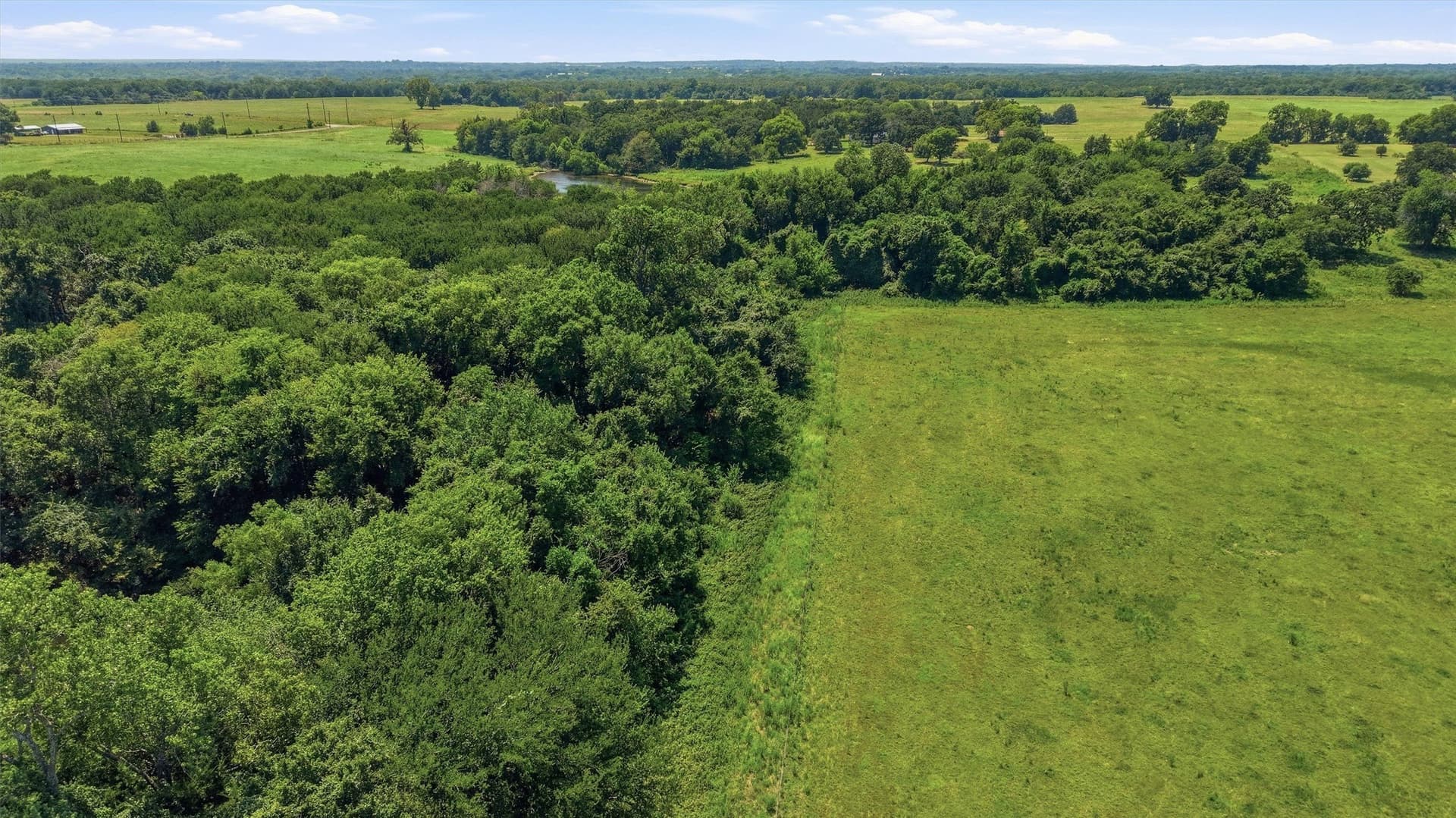 215.55 acres in Grayson County - photo 18