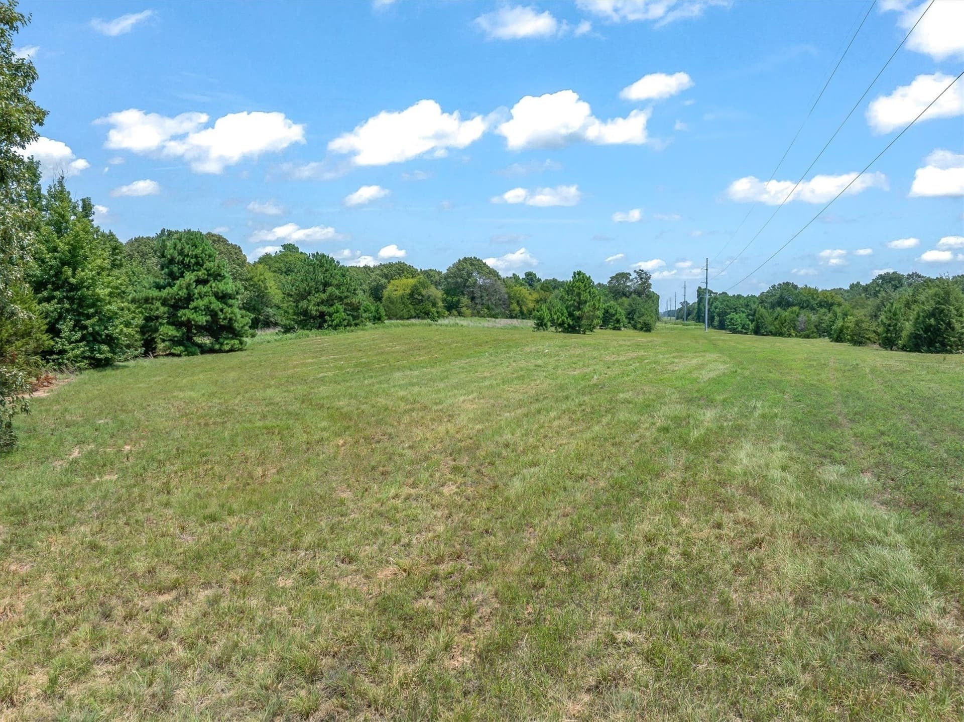 25 acres in Henderson County gallery image 3