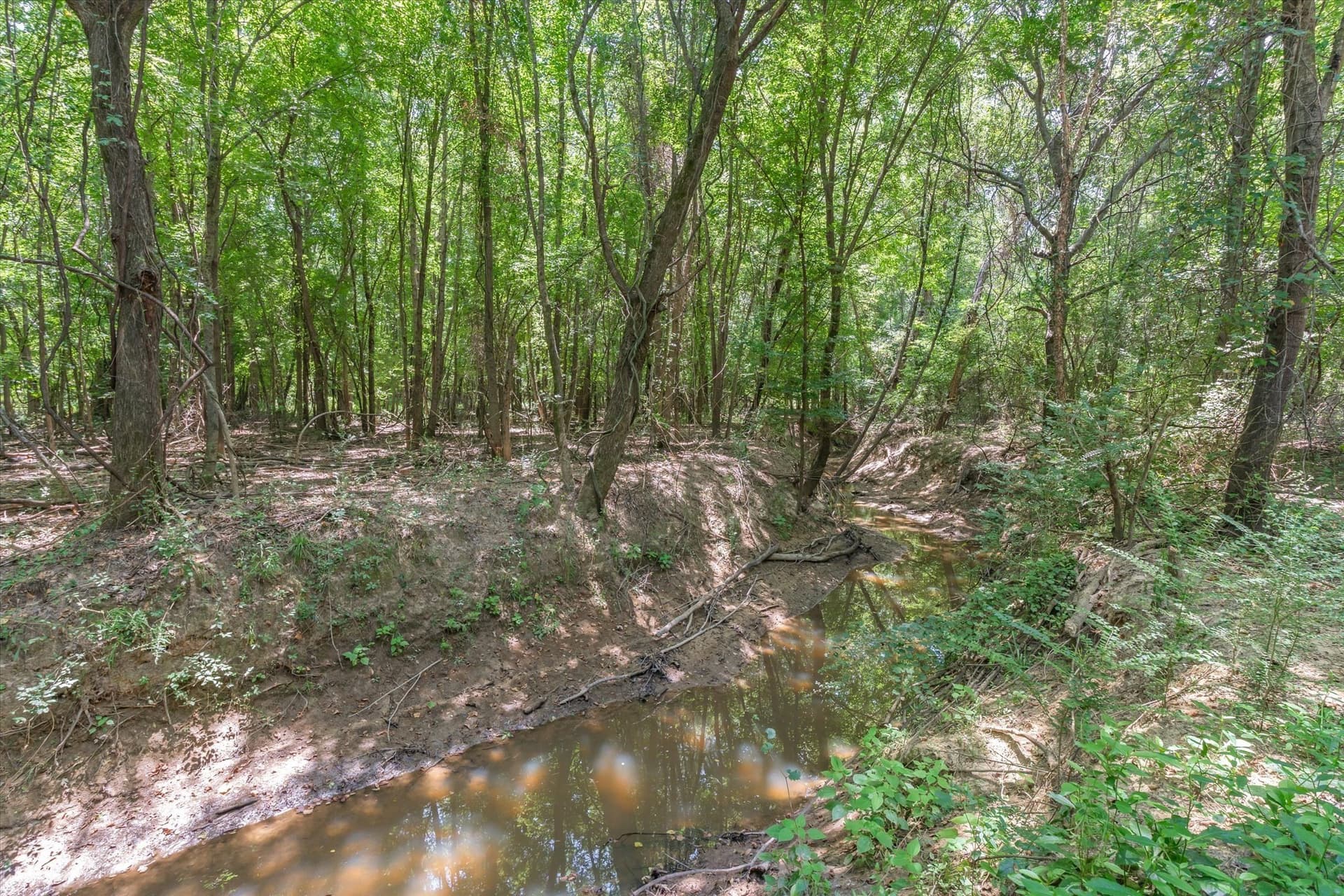 25 acres in Henderson County - photo 12