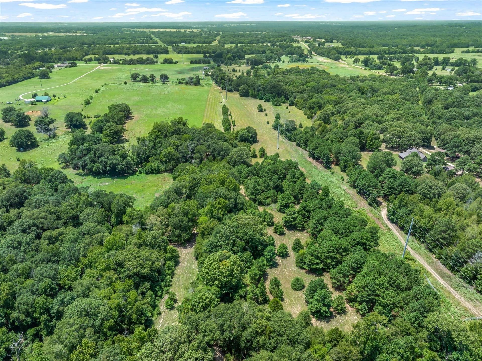 25 acres in Henderson County - photo 11