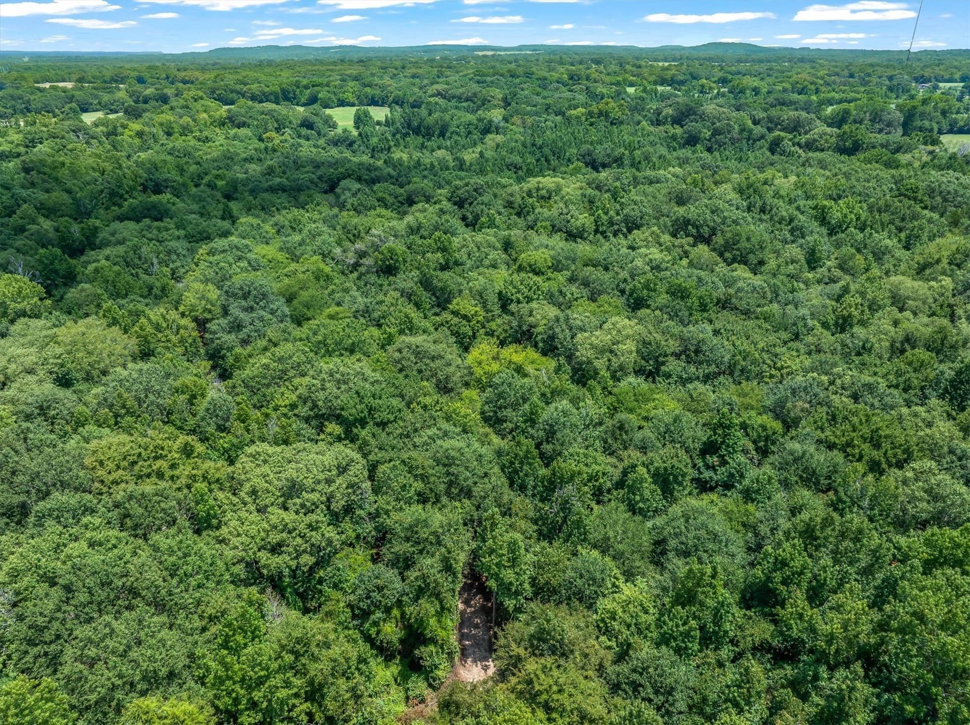 25 acres in Henderson County - photo 10