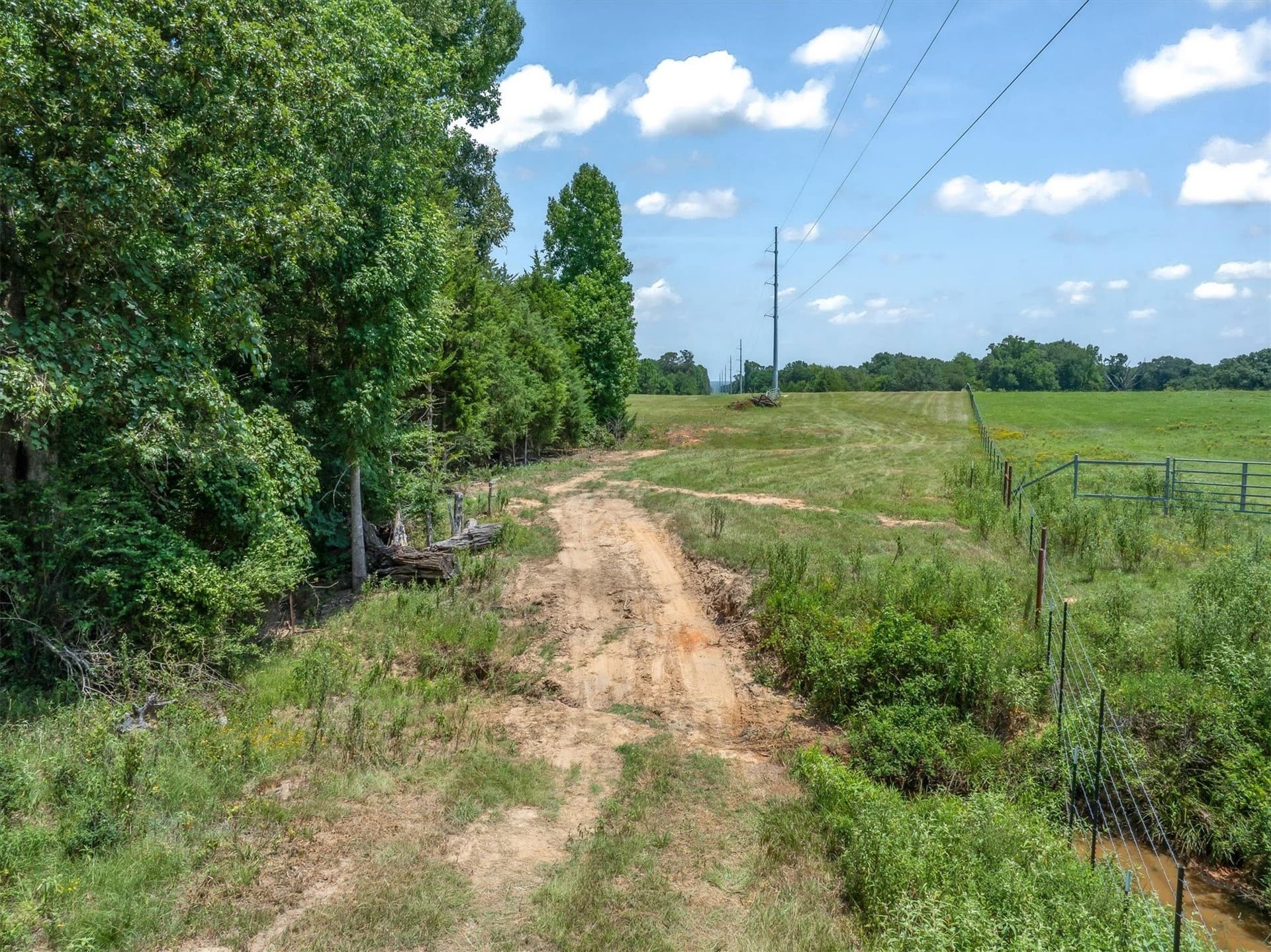 25 acres in Henderson County - photo 20