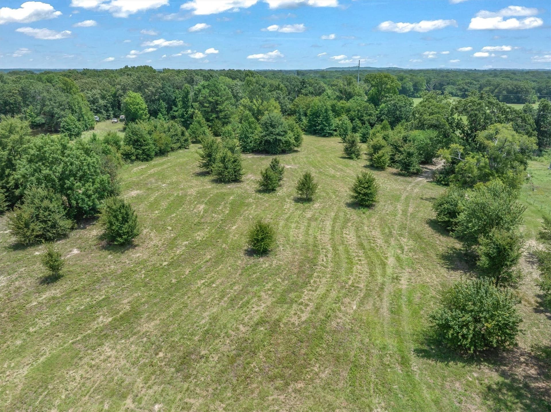 25 acres in Henderson County gallery image 2