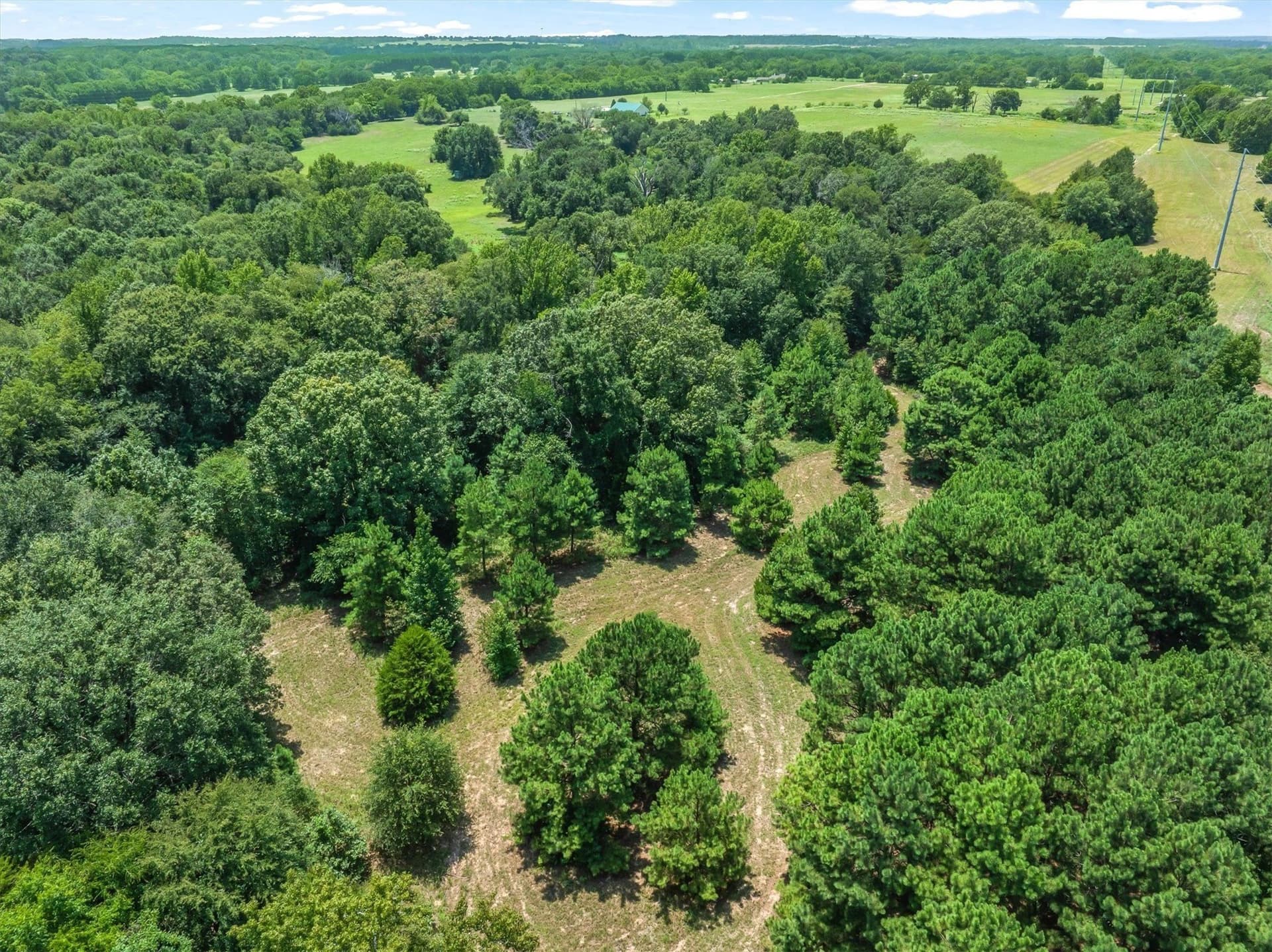 25 acres in Henderson County gallery image 4