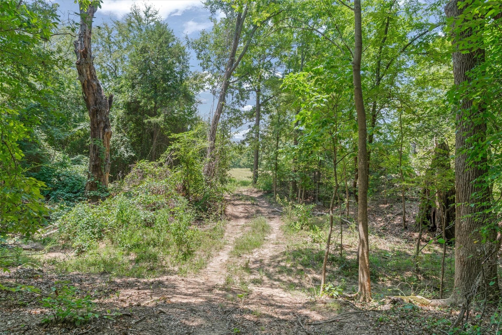 25 acres in Henderson County - photo 19