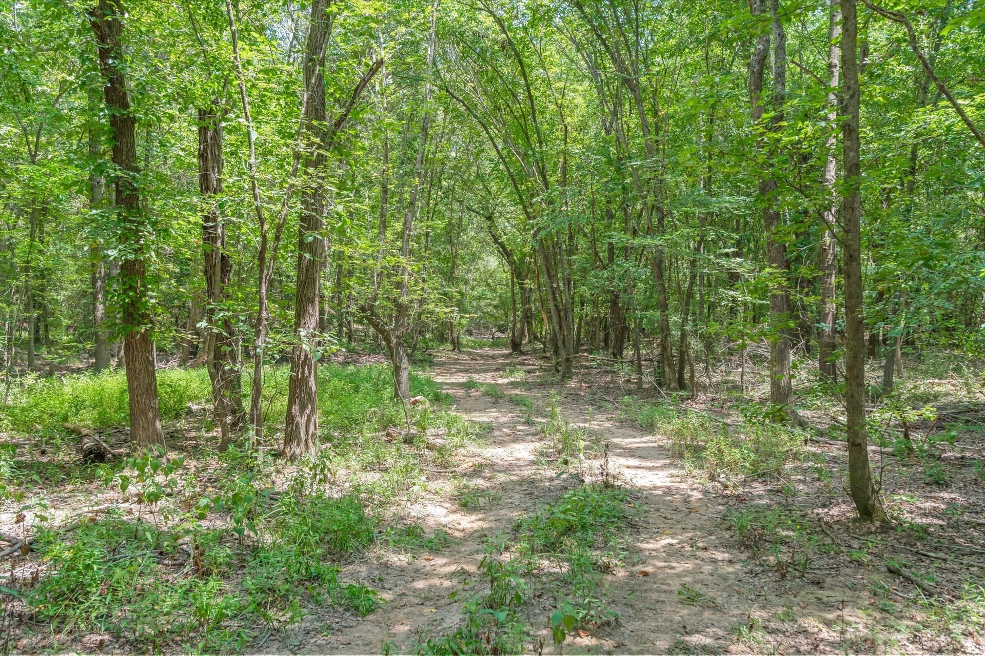 25 acres in Henderson County - photo 14